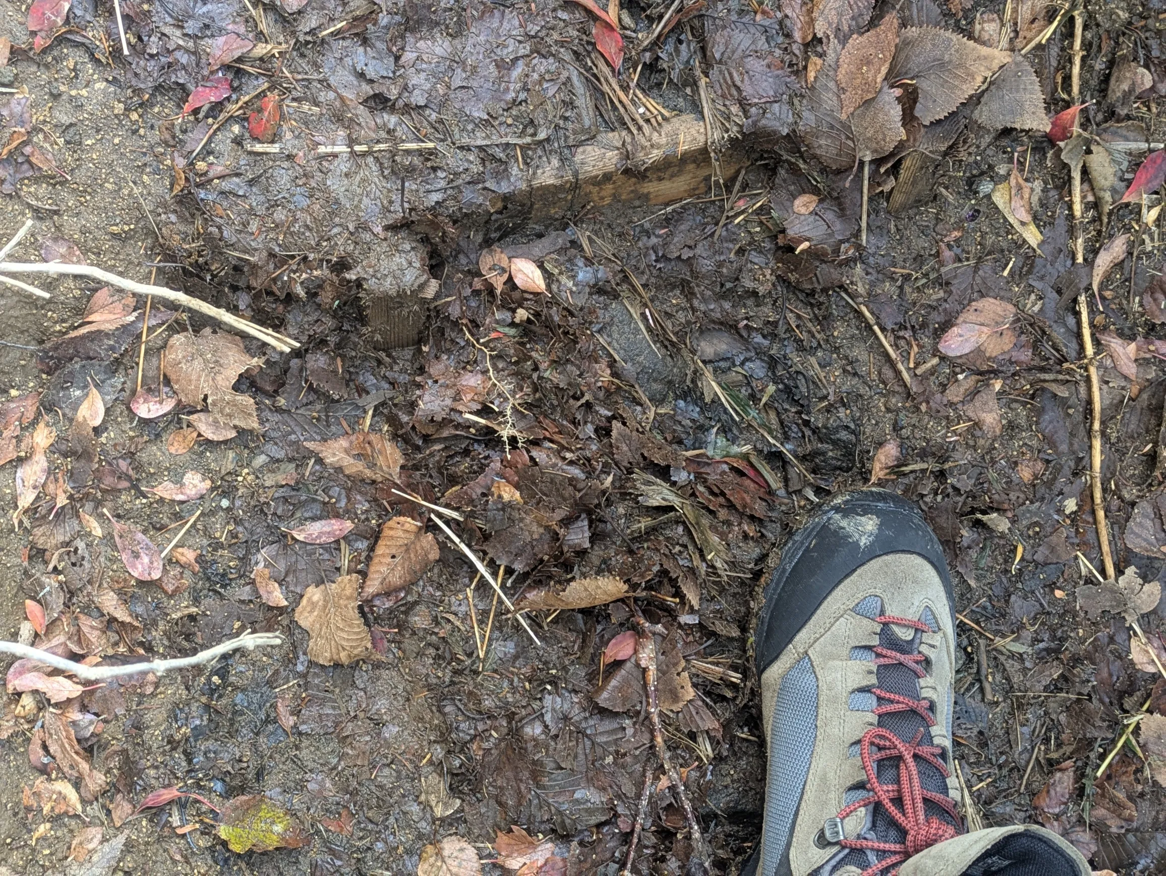 たむら鍼灸整骨院のイメージ