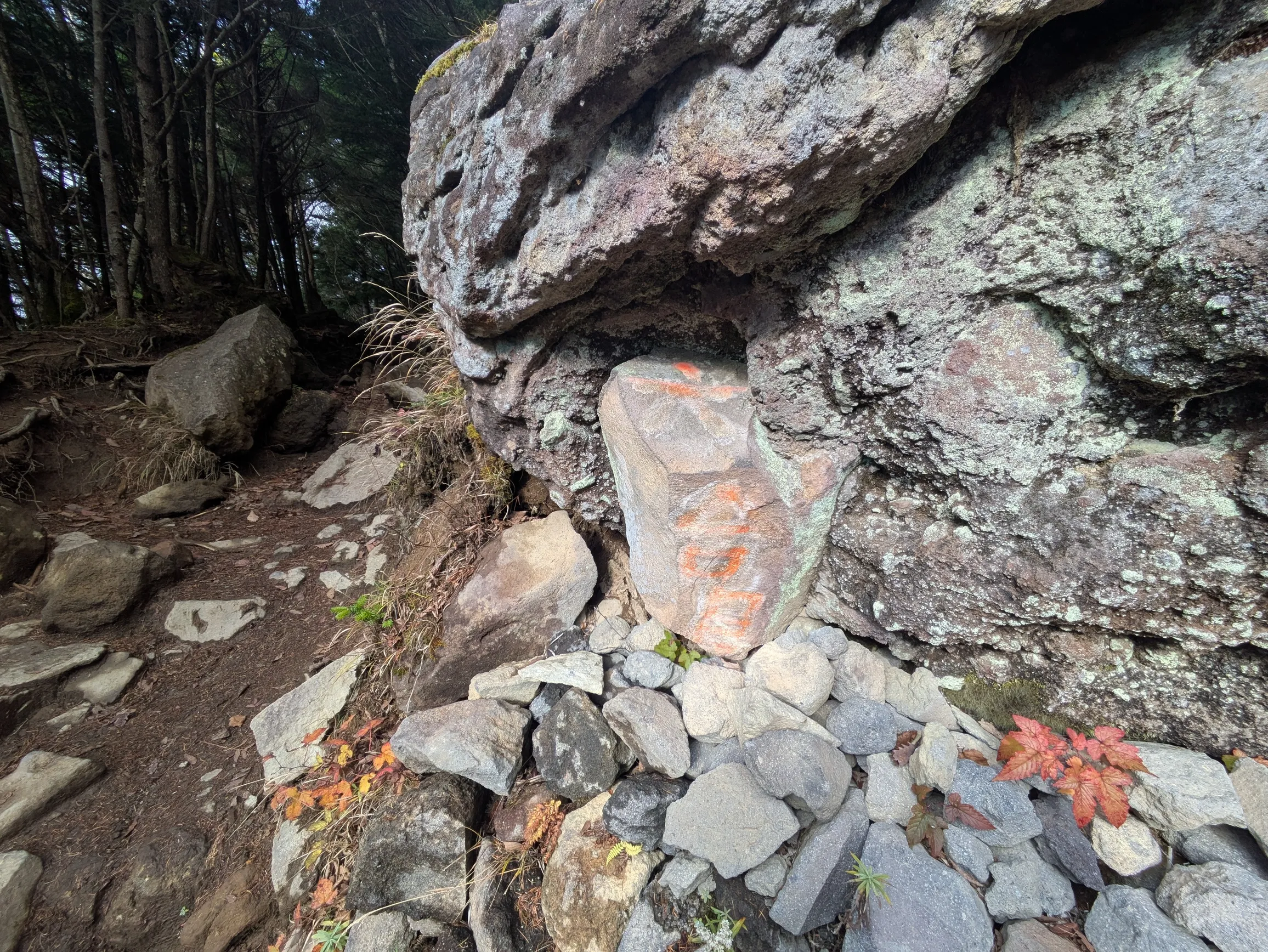 たむら鍼灸整骨院のイメージ