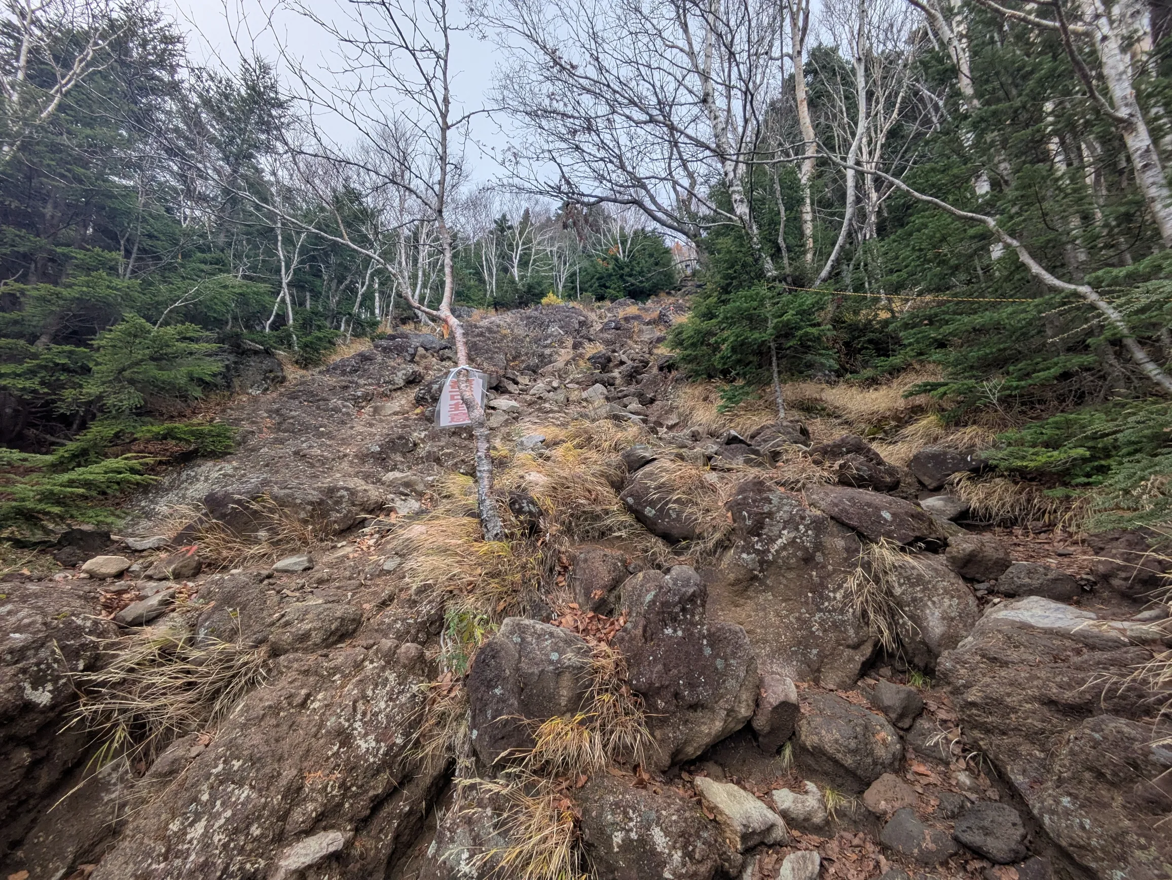 たむら鍼灸整骨院のイメージ