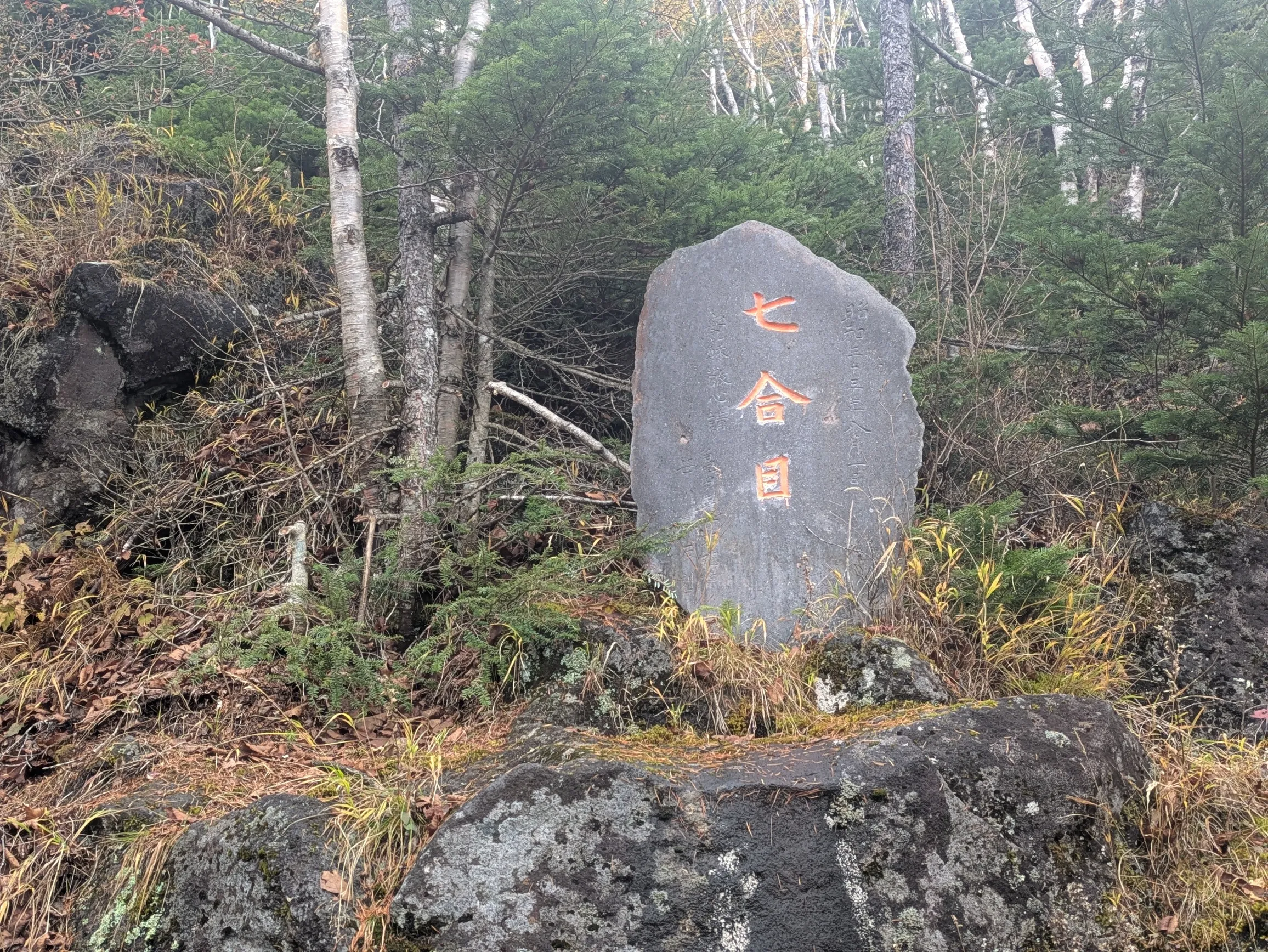 たむら鍼灸整骨院のイメージ