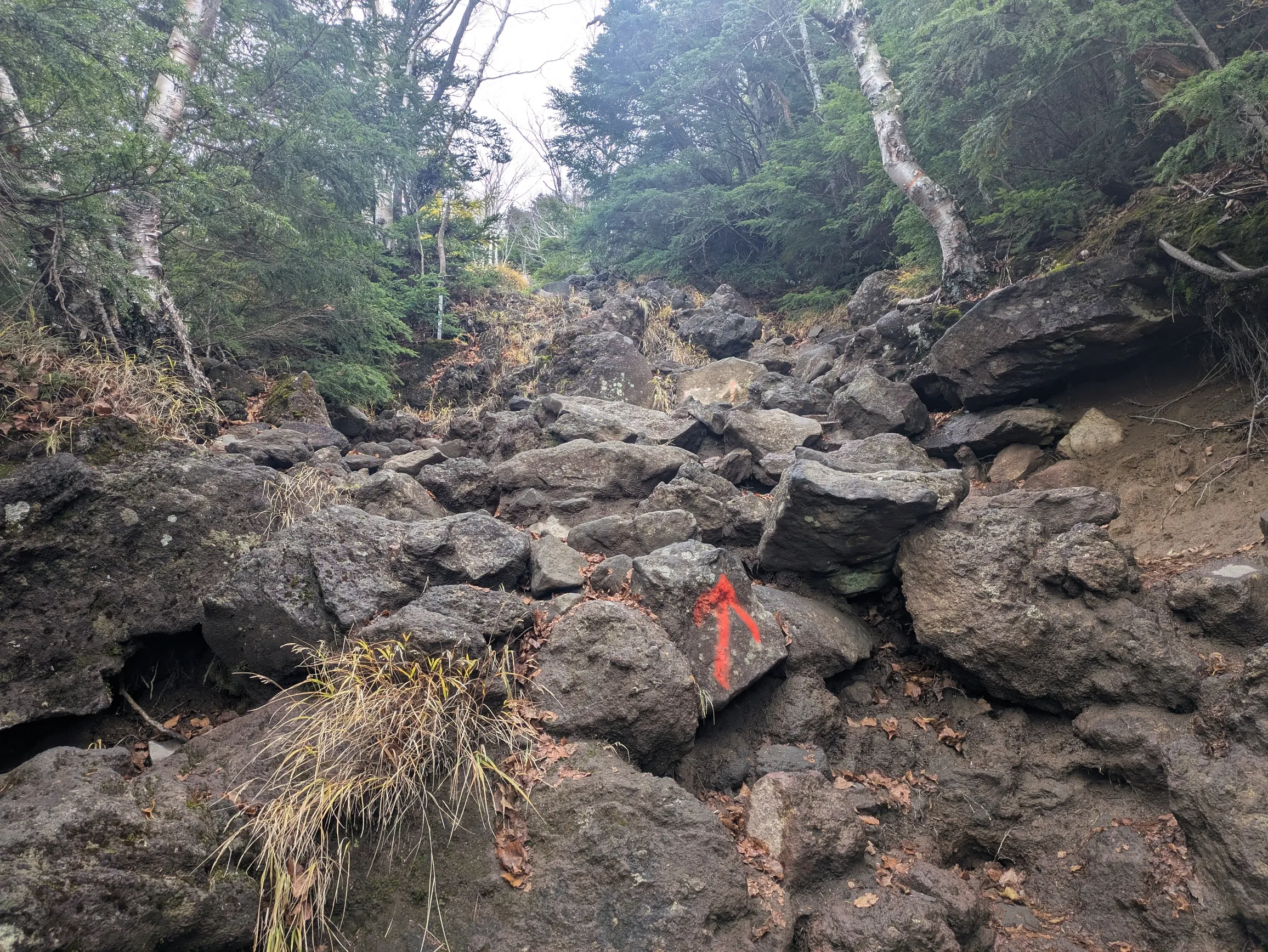 たむら鍼灸整骨院のイメージ