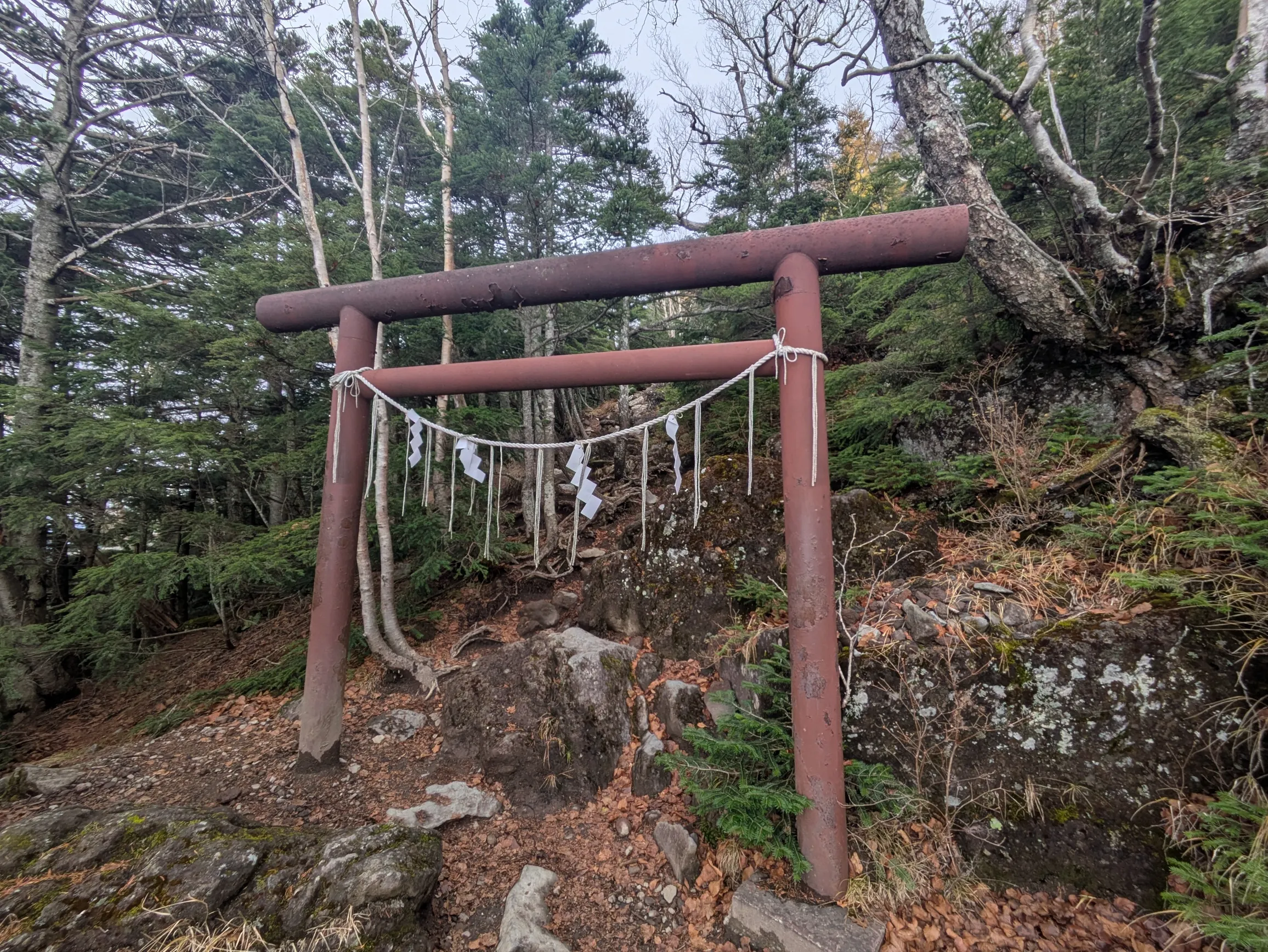 たむら鍼灸整骨院のイメージ