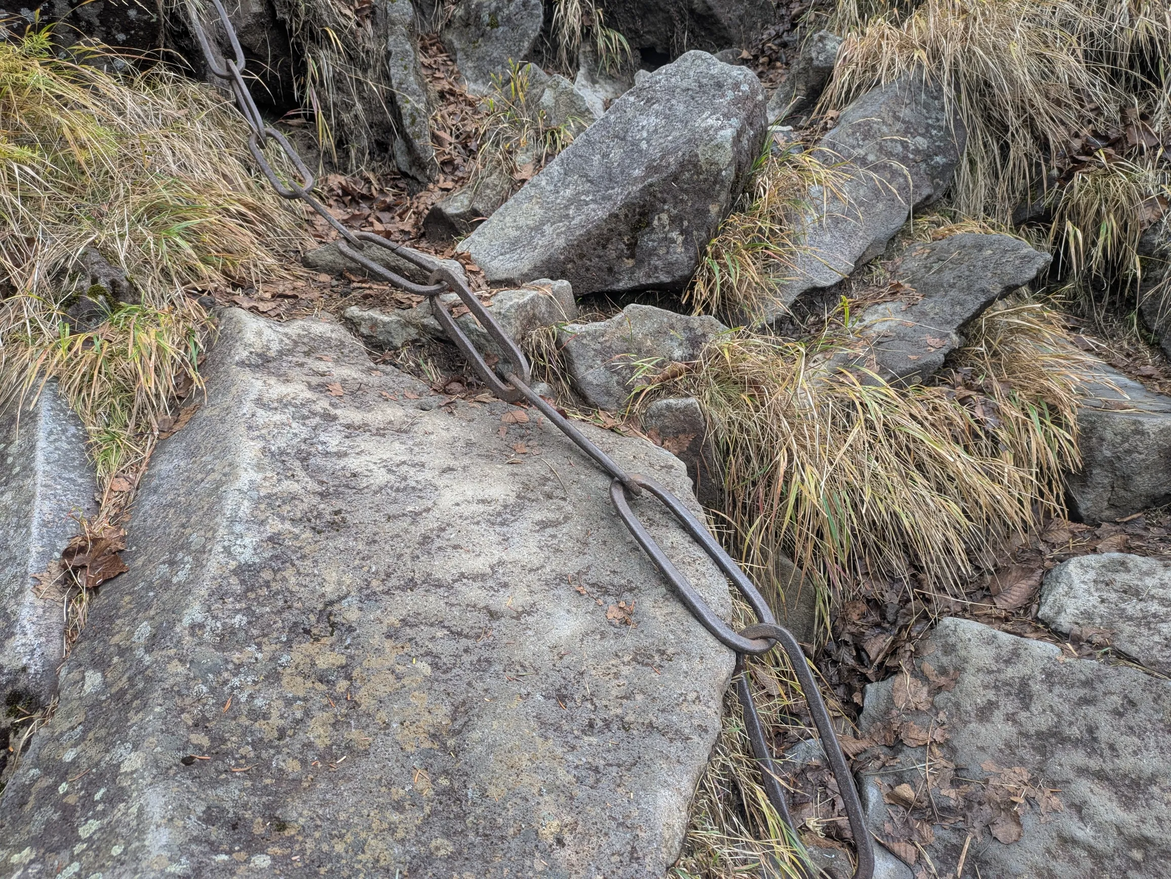 たむら鍼灸整骨院のイメージ