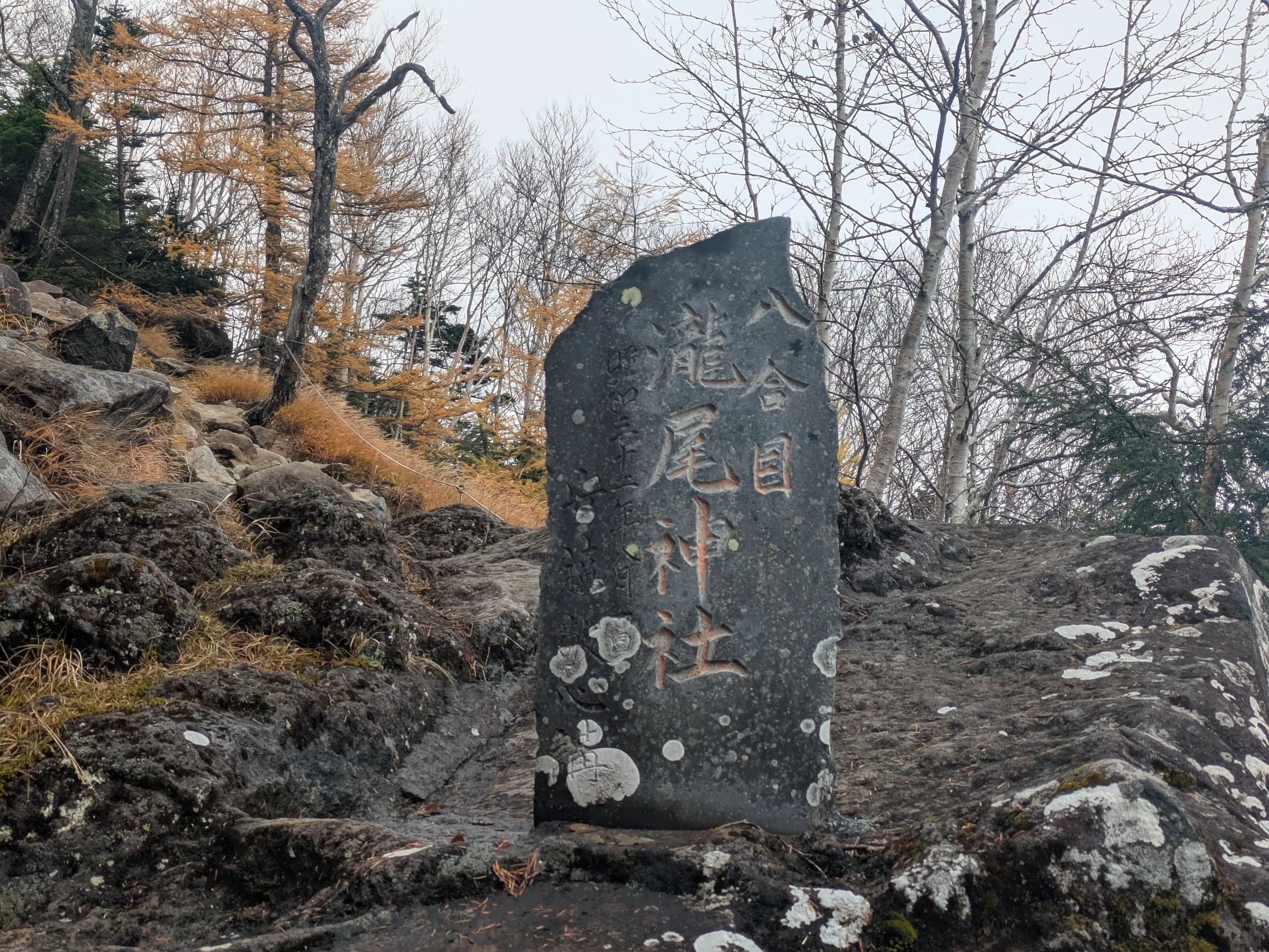 たむら鍼灸整骨院のイメージ