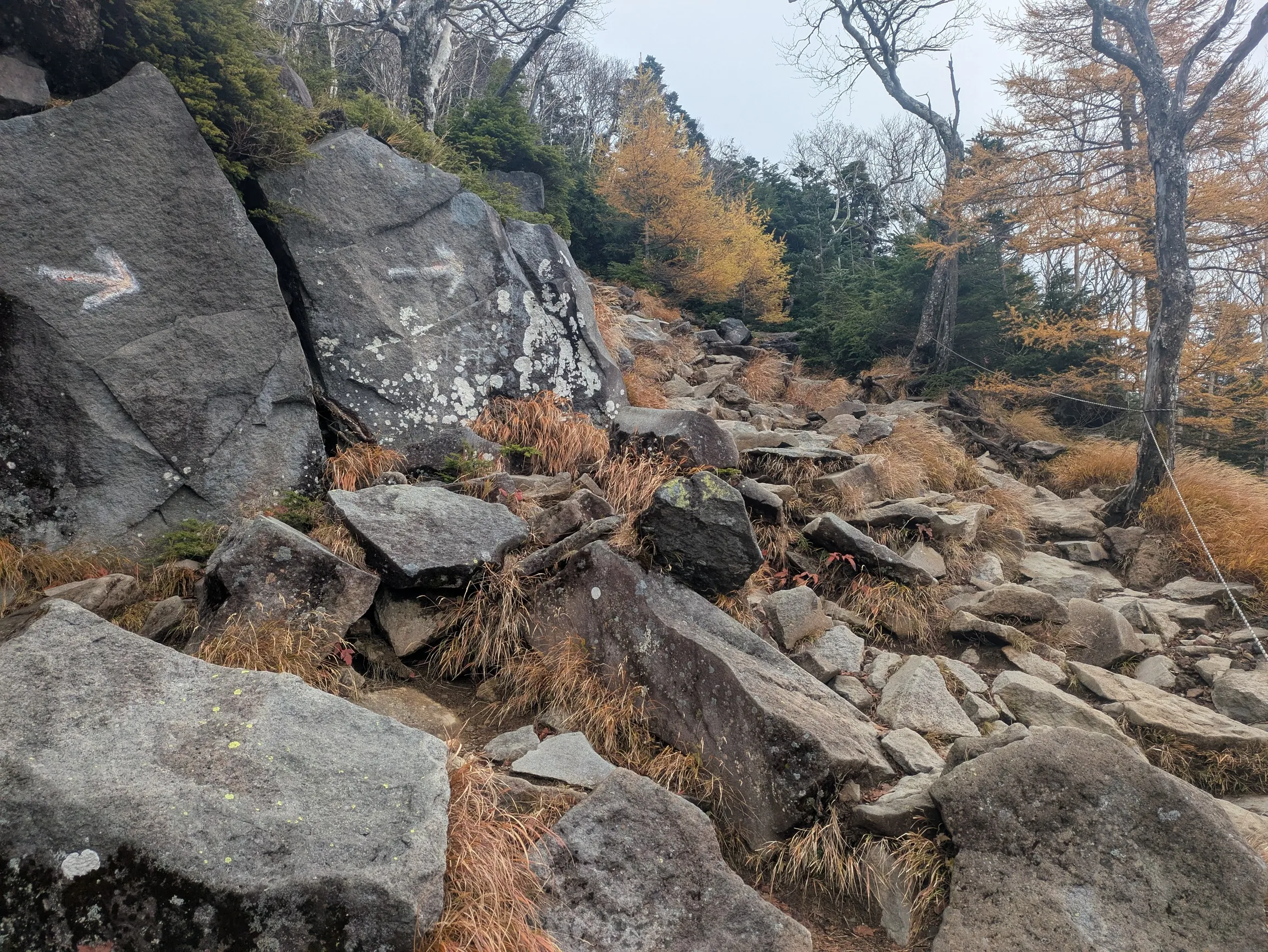 たむら鍼灸整骨院のイメージ