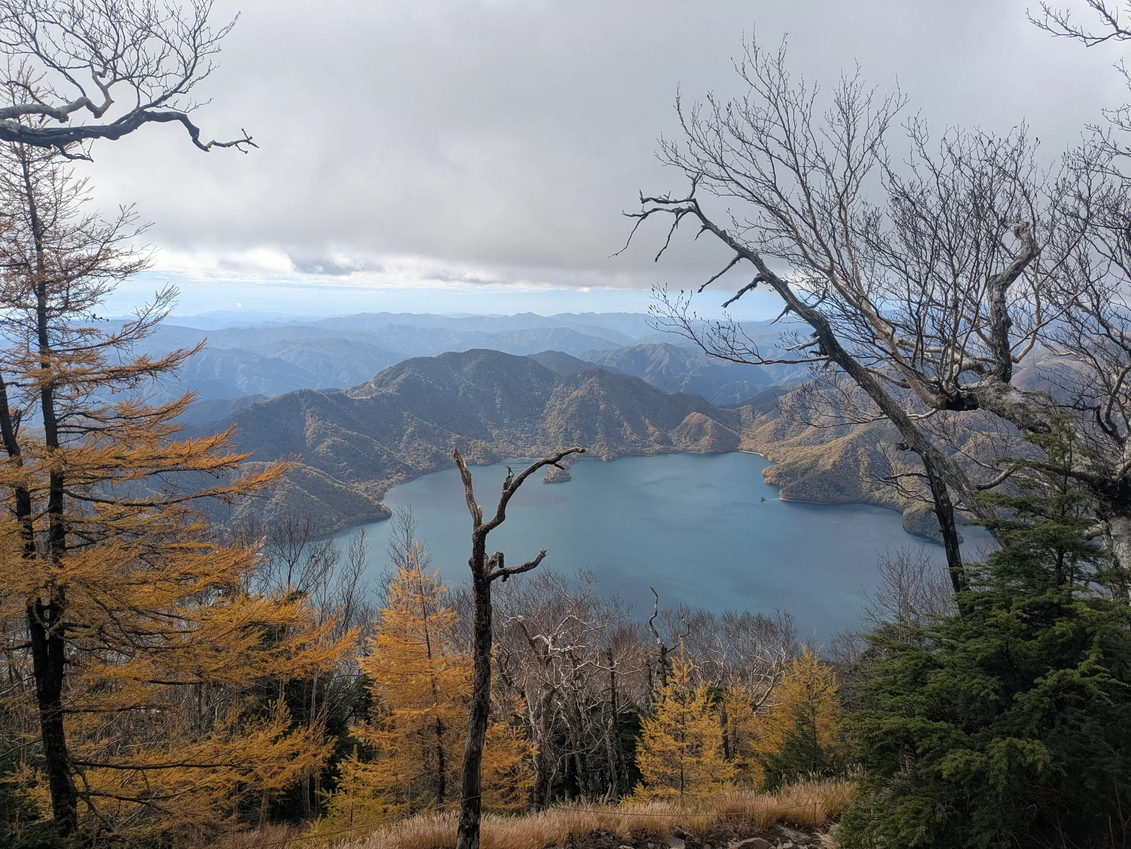たむら鍼灸整骨院のイメージ
