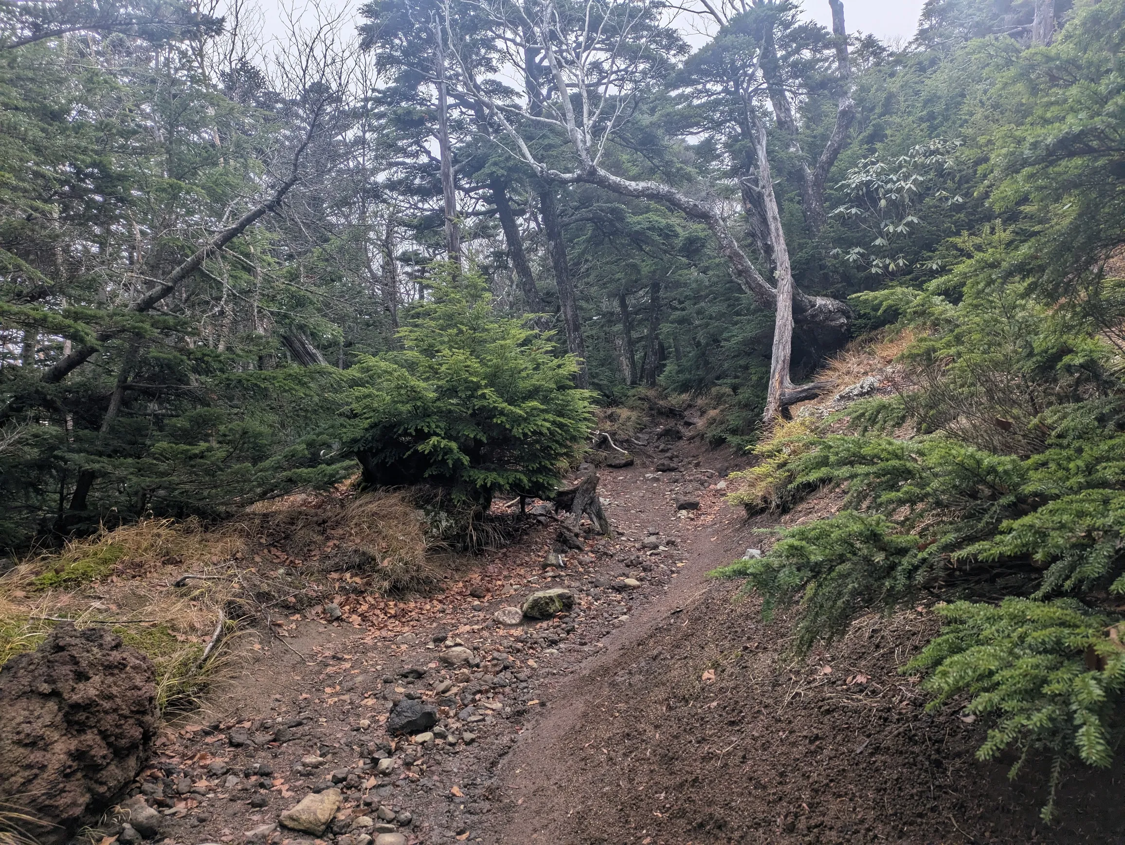 たむら鍼灸整骨院のイメージ