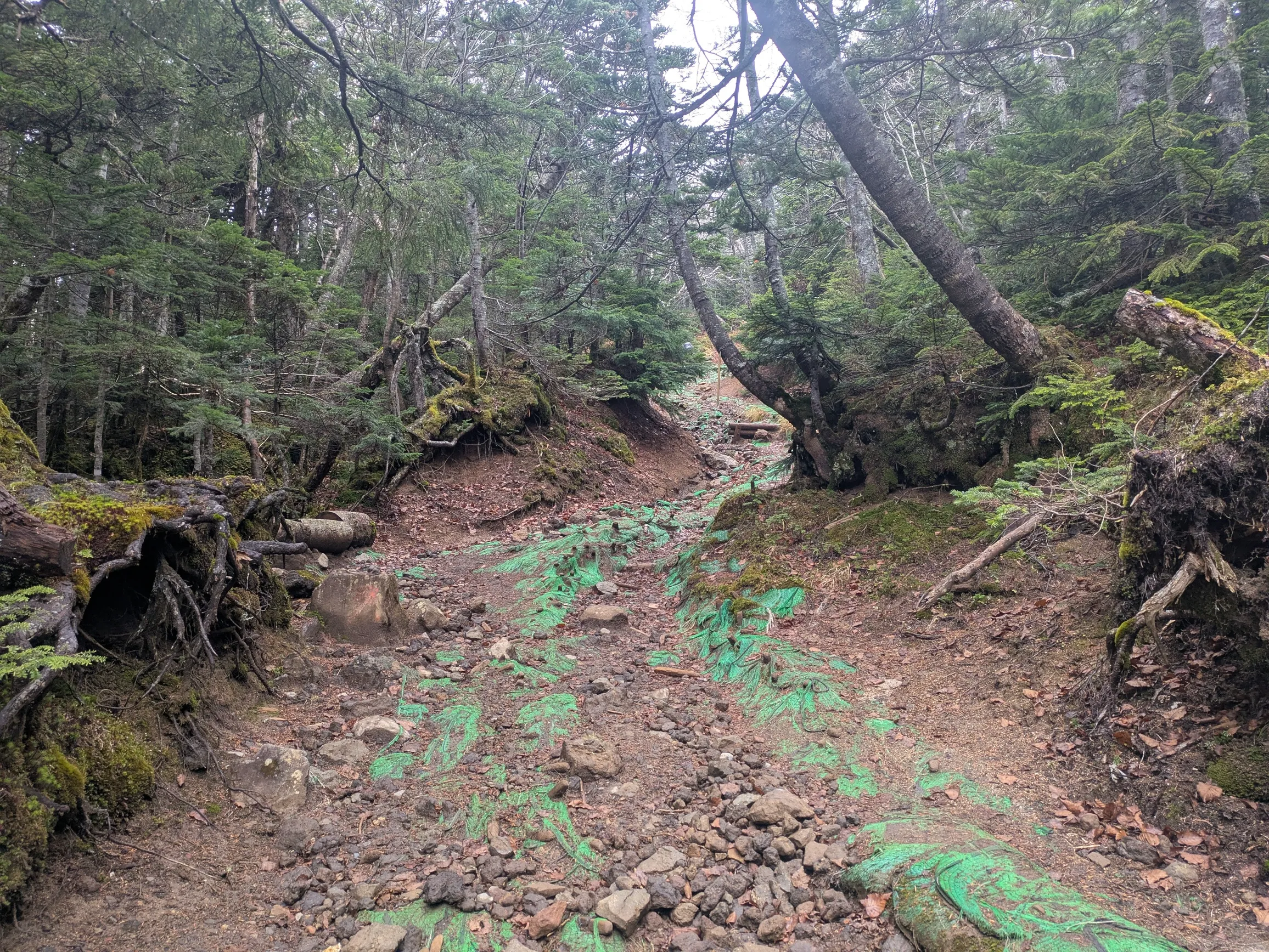 たむら鍼灸整骨院のイメージ