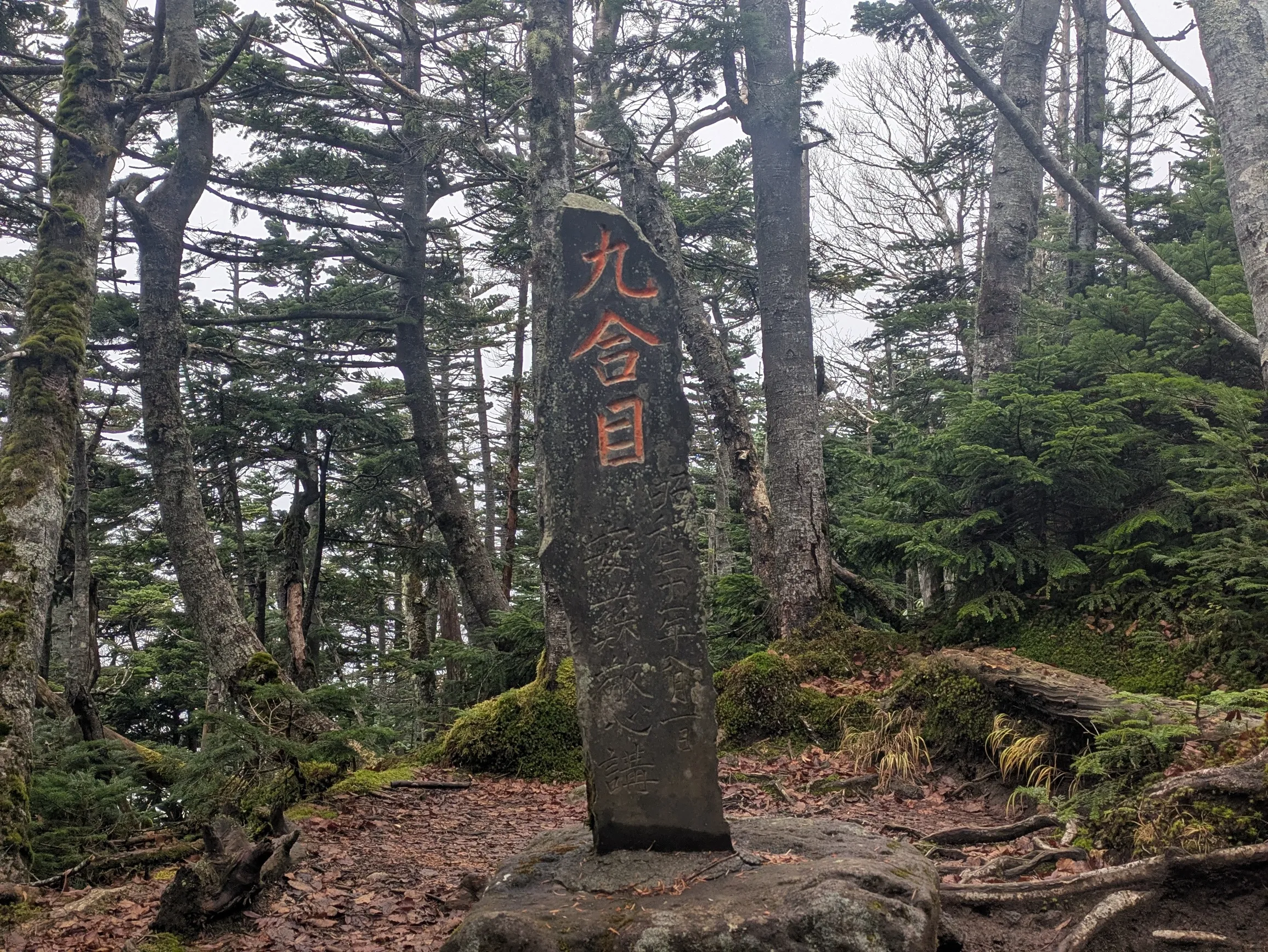 たむら鍼灸整骨院のイメージ