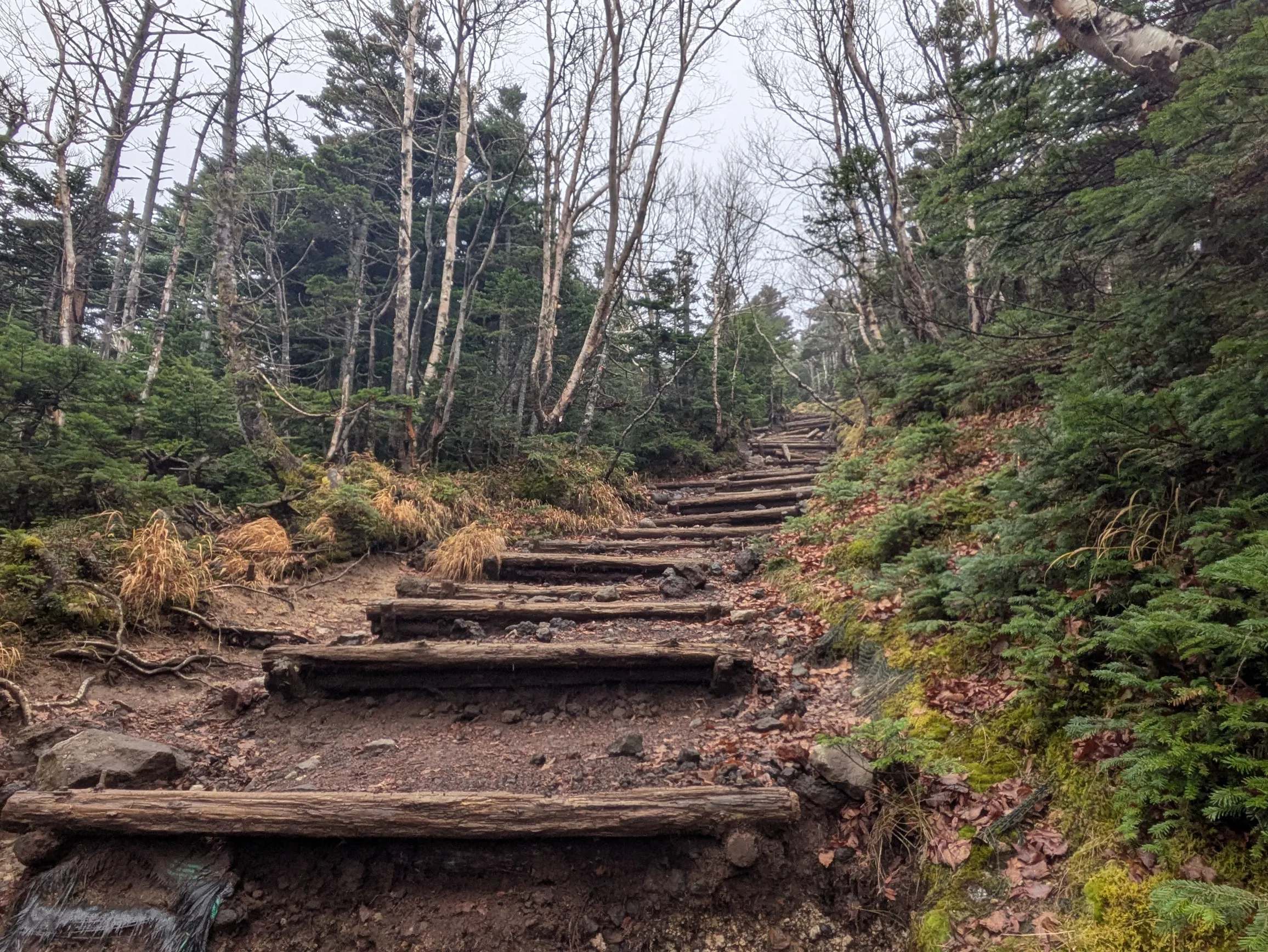 たむら鍼灸整骨院のイメージ