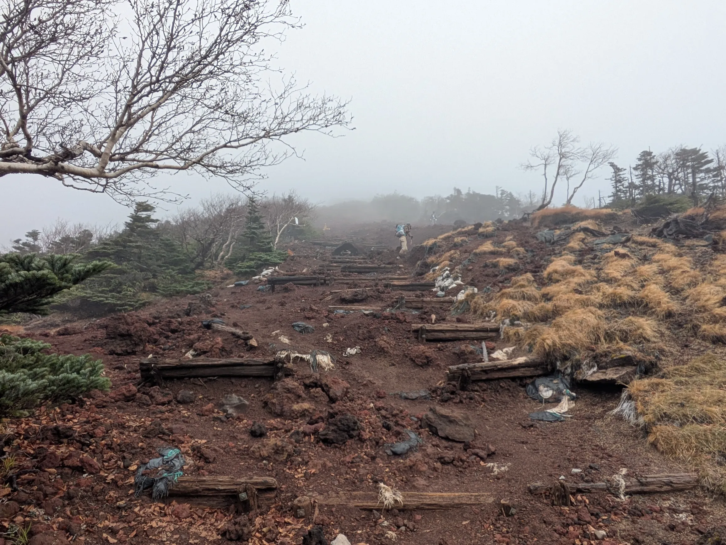 たむら鍼灸整骨院のイメージ