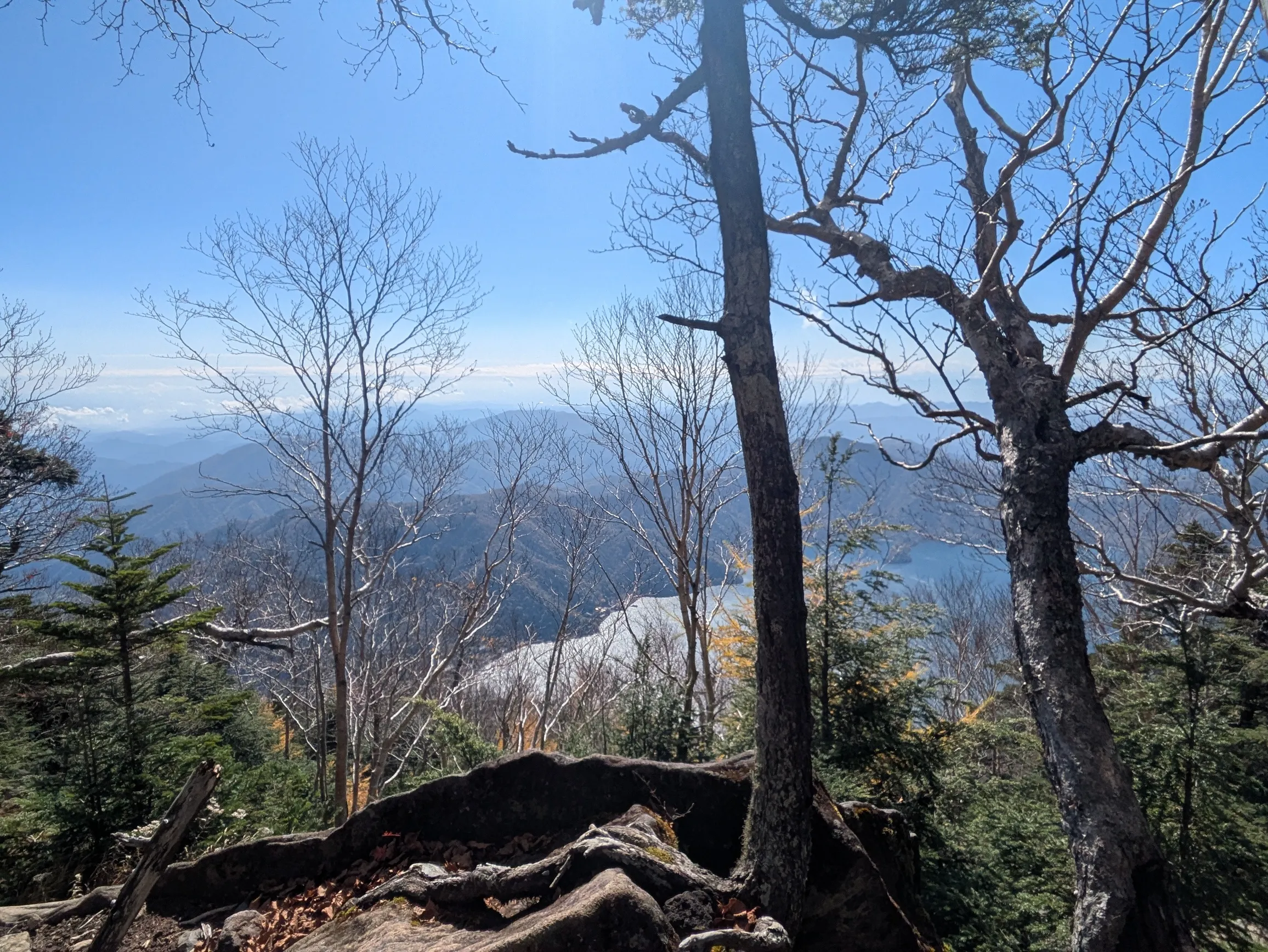 たむら鍼灸整骨院のイメージ