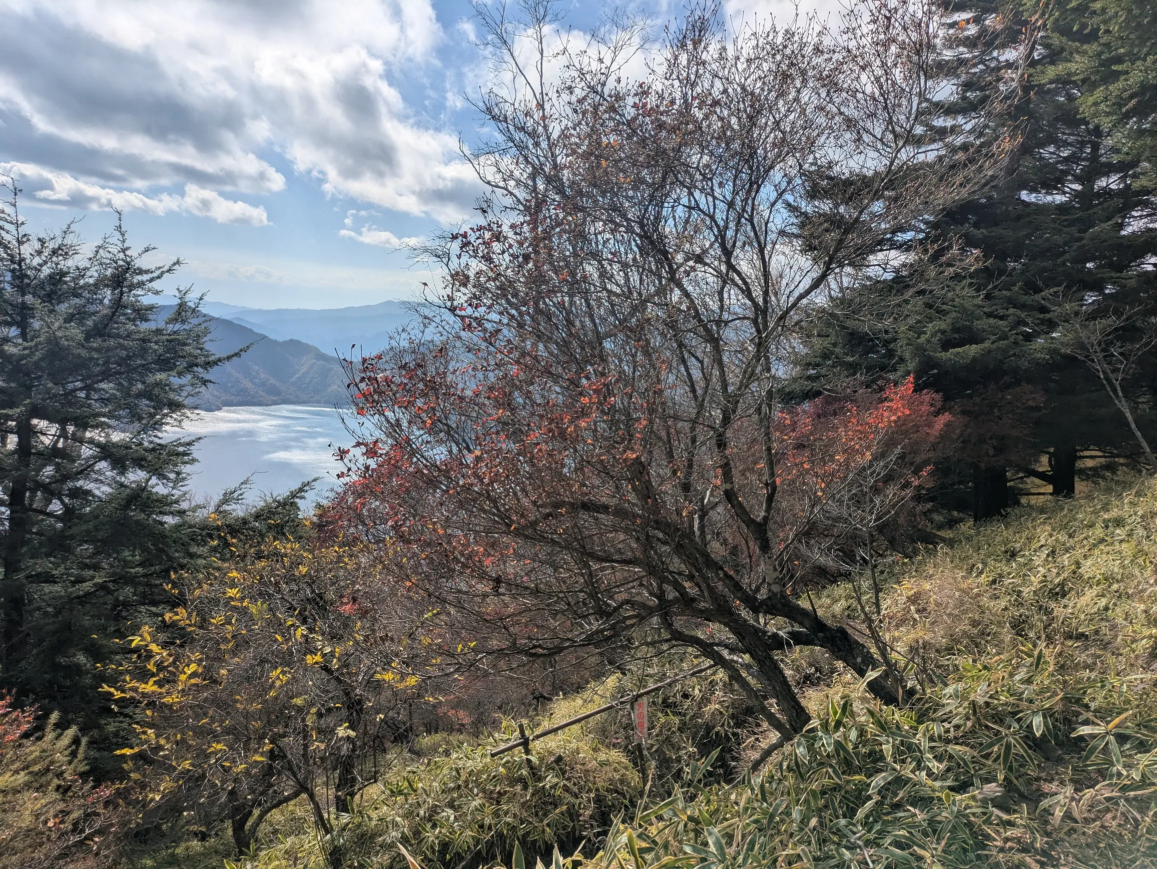 たむら鍼灸整骨院のイメージ