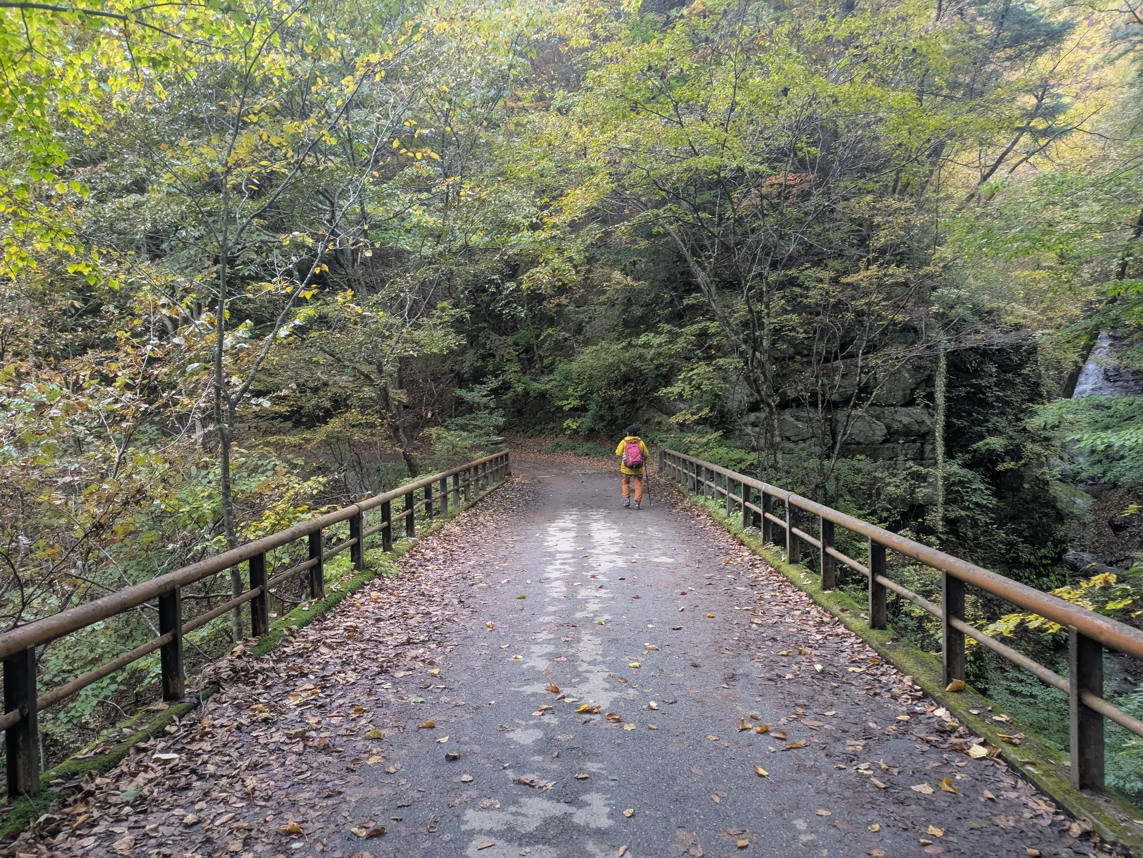 たむら鍼灸整骨院のイメージ
