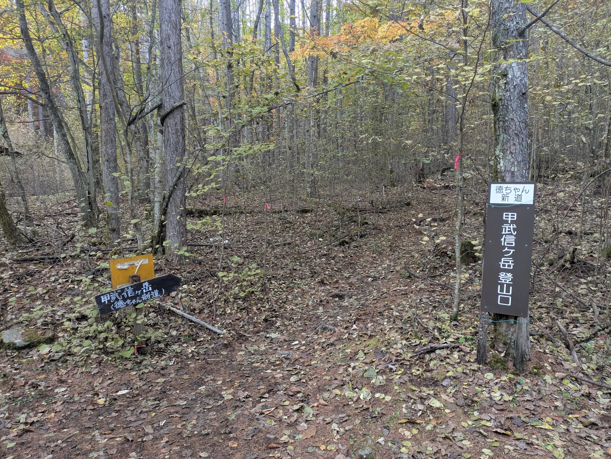 たむら鍼灸整骨院のイメージ