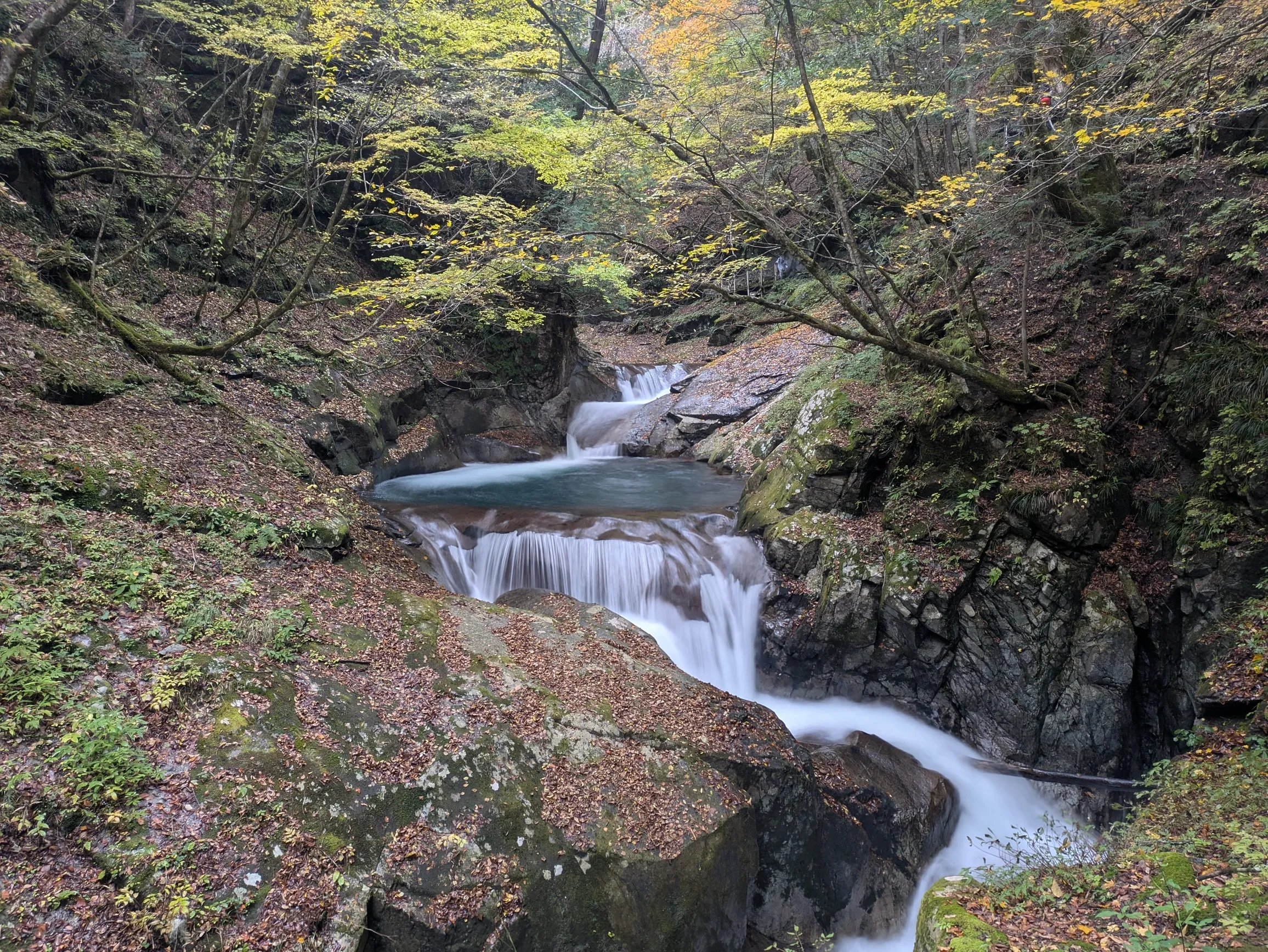 たむら鍼灸整骨院のイメージ
