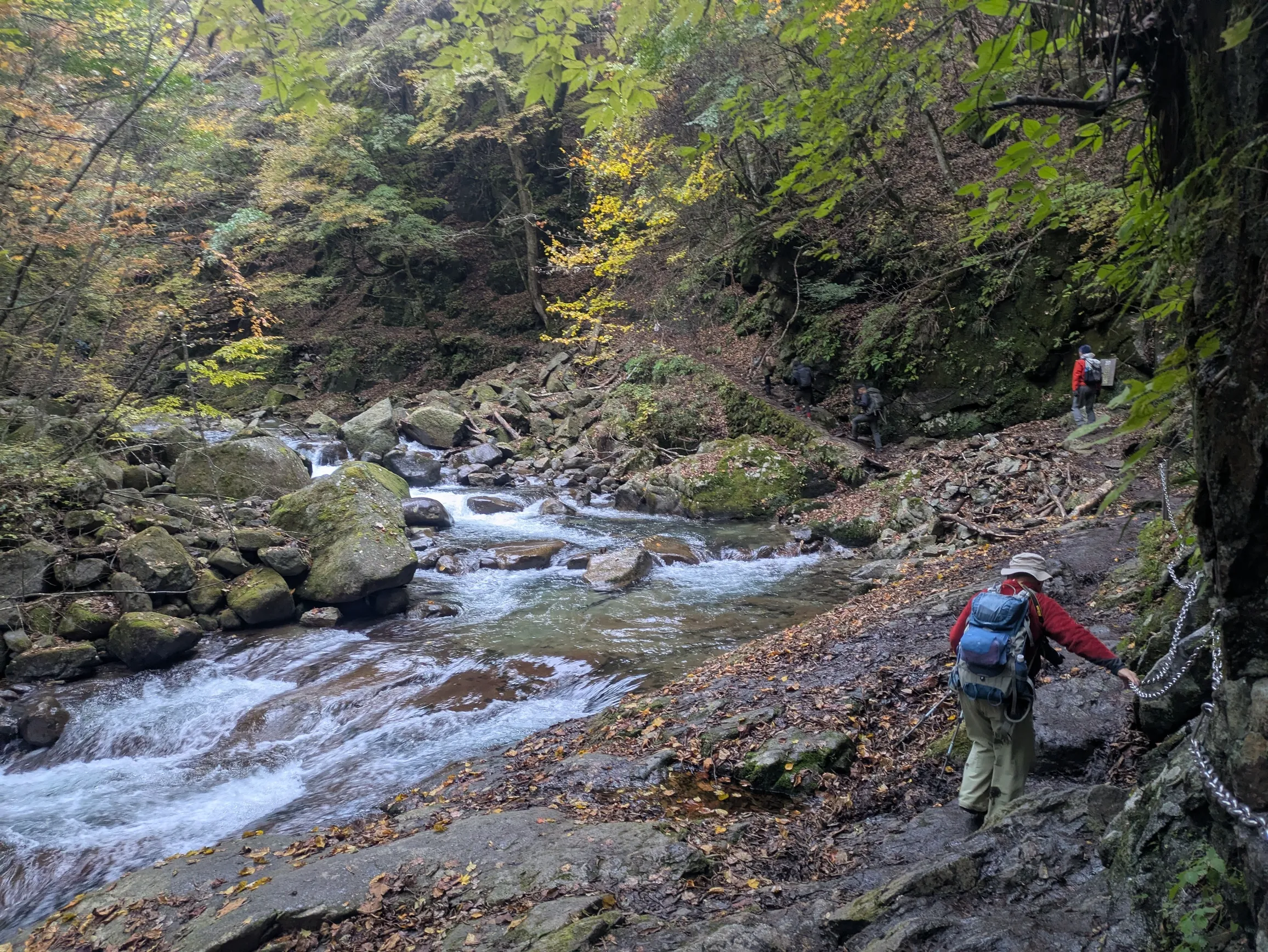 たむら鍼灸整骨院のイメージ