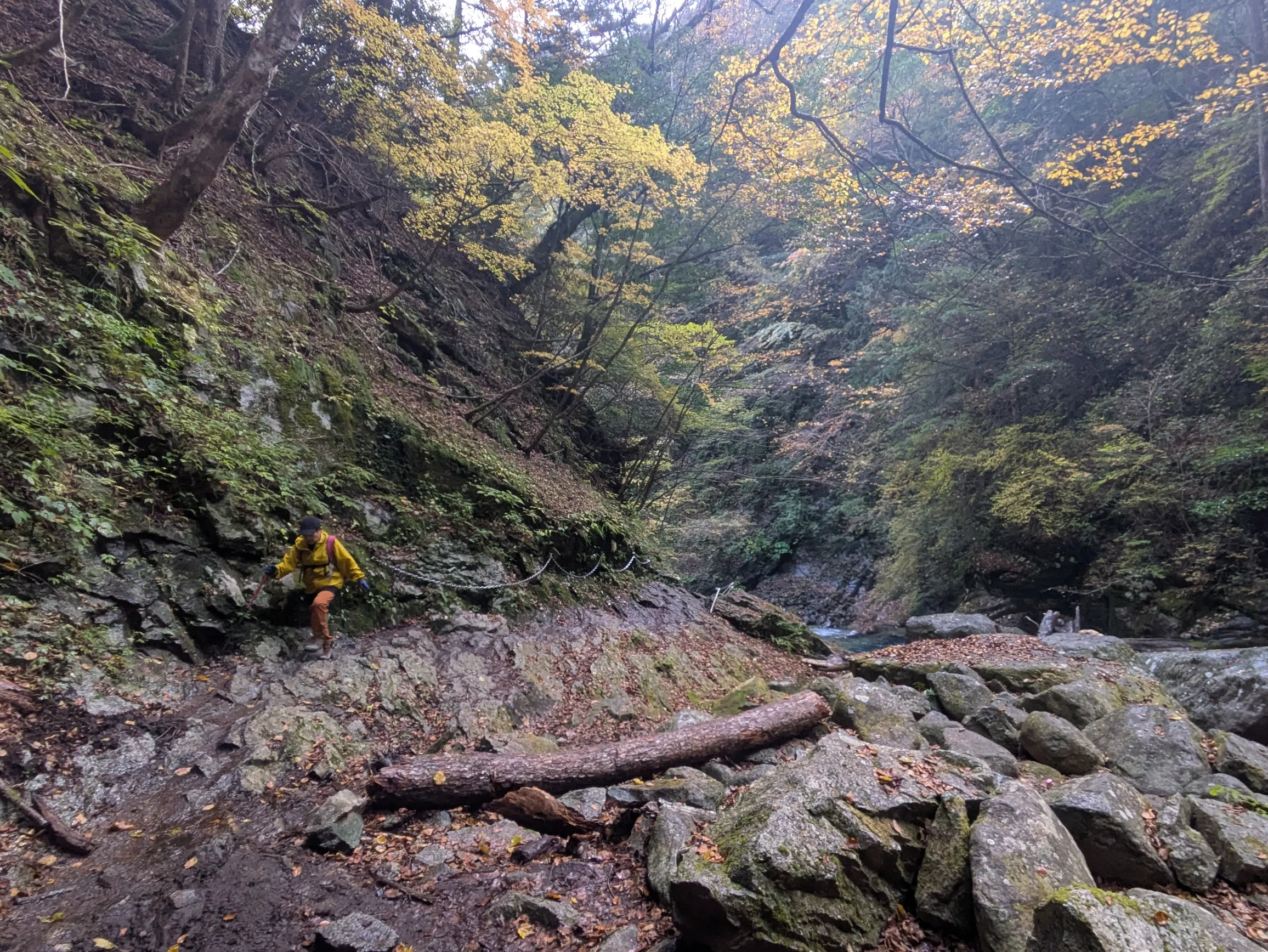 たむら鍼灸整骨院のイメージ