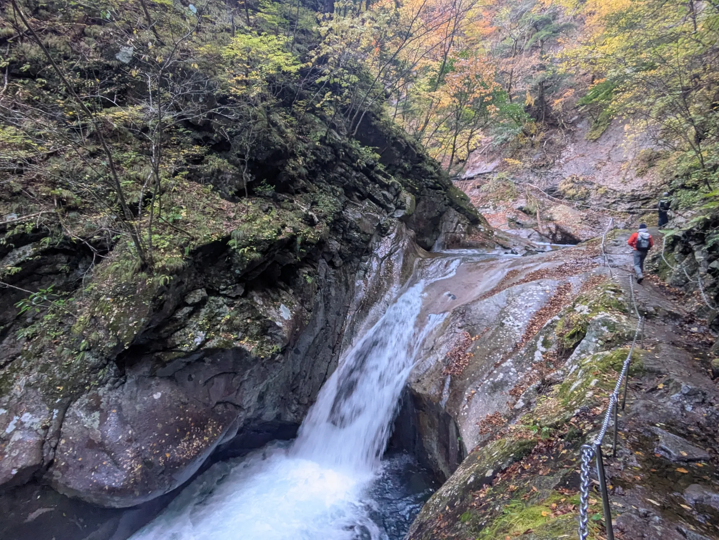 たむら鍼灸整骨院のイメージ