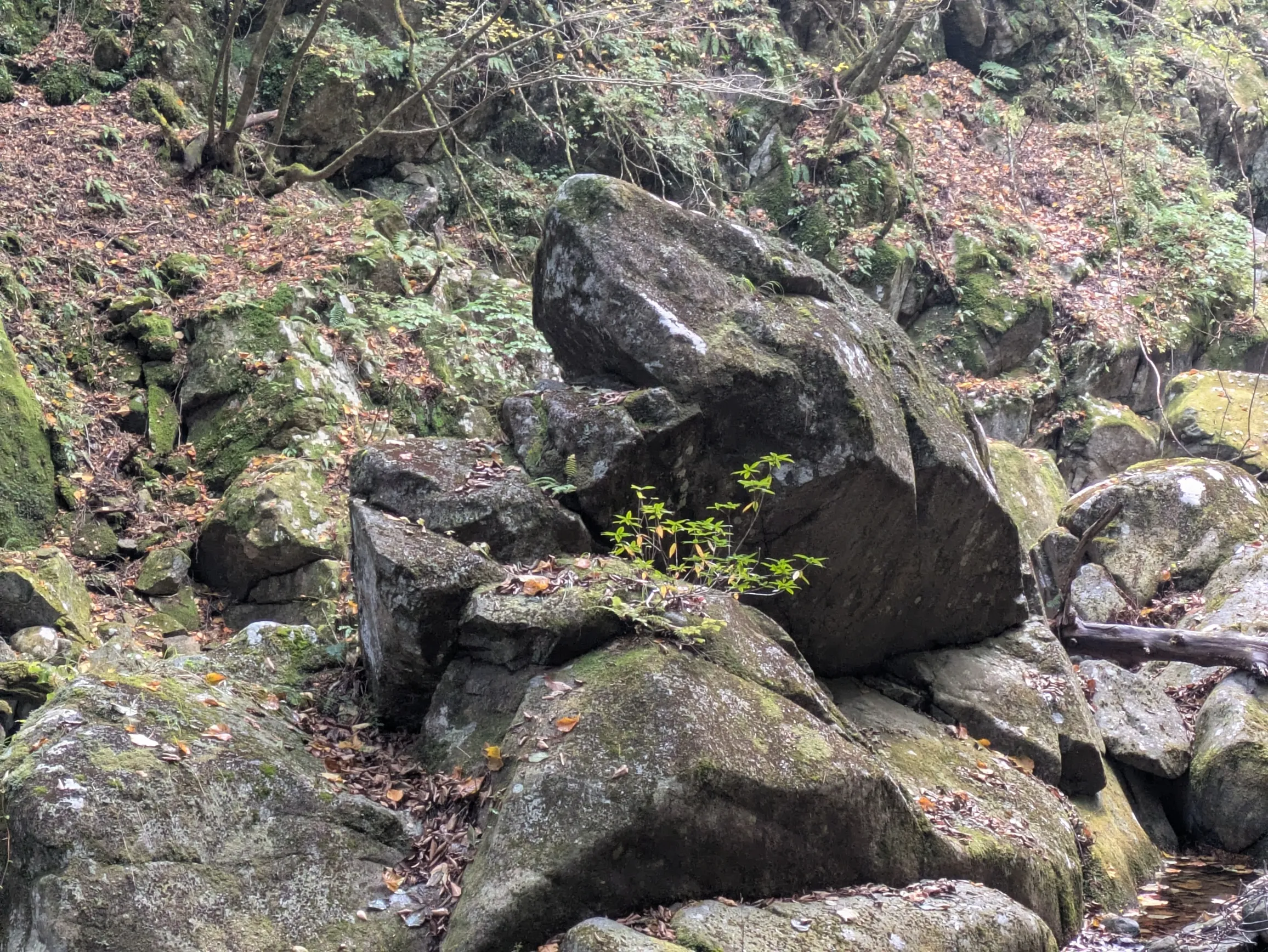 たむら鍼灸整骨院のイメージ