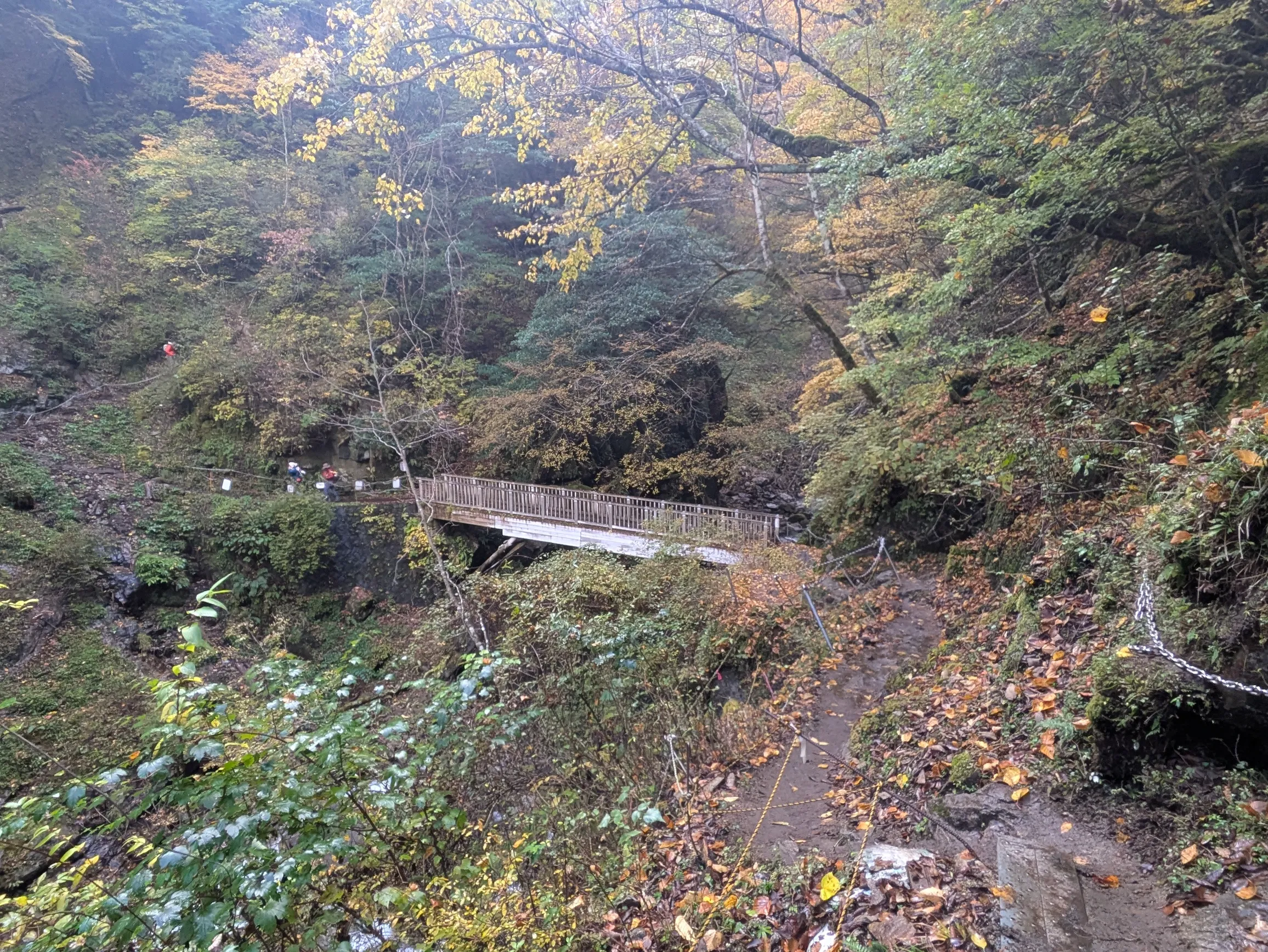 たむら鍼灸整骨院のイメージ