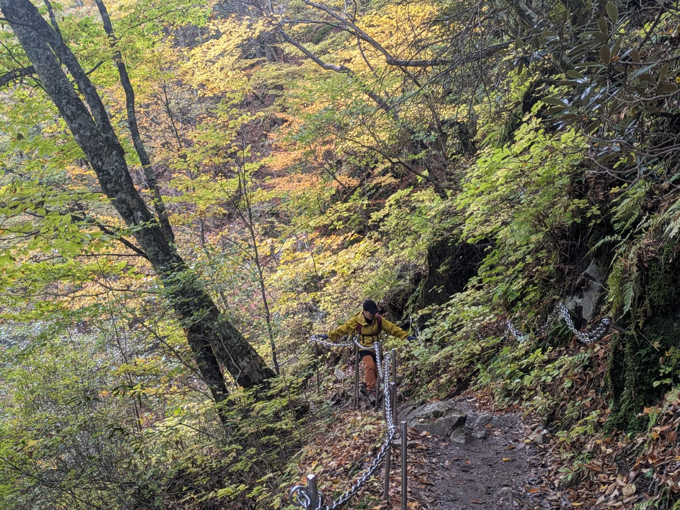 たむら鍼灸整骨院のイメージ