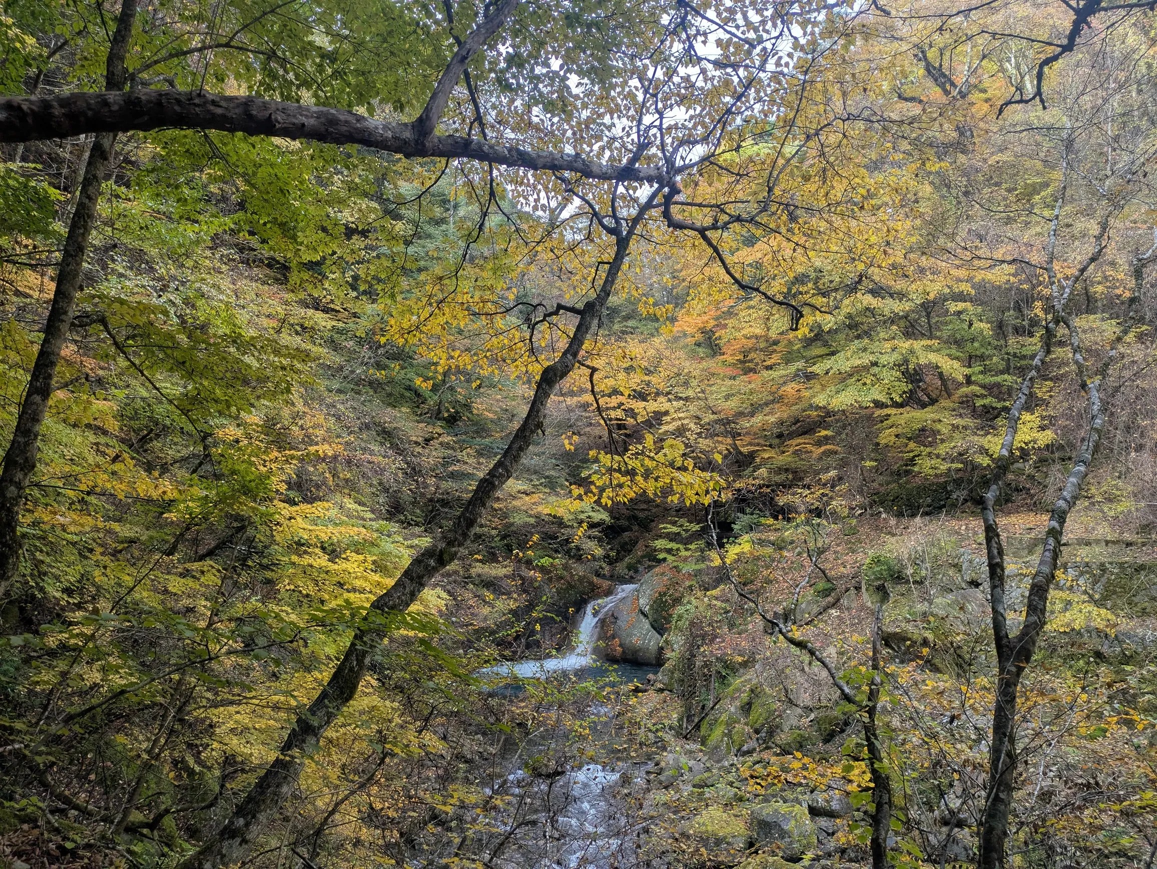 たむら鍼灸整骨院のイメージ