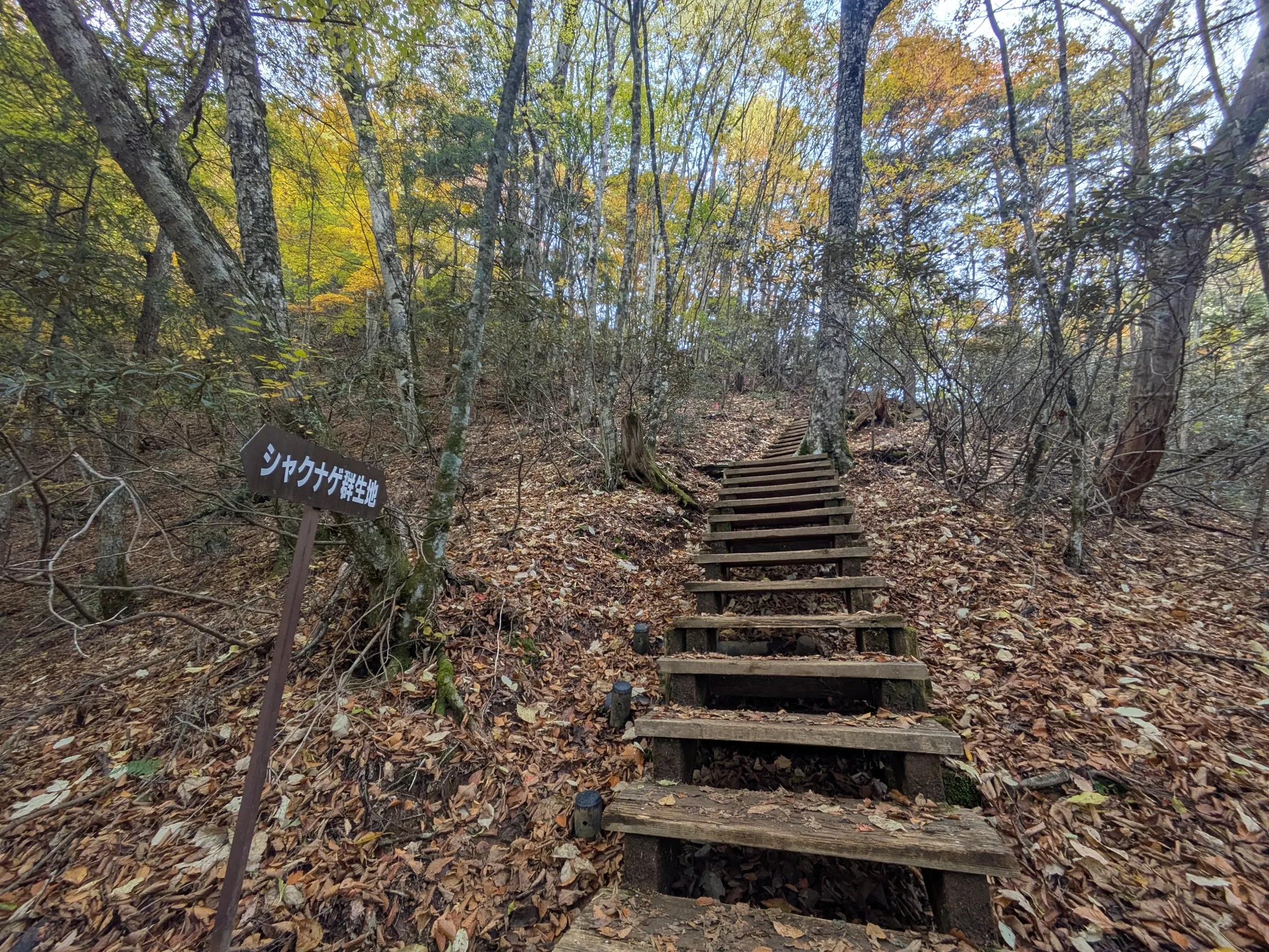 たむら鍼灸整骨院のイメージ
