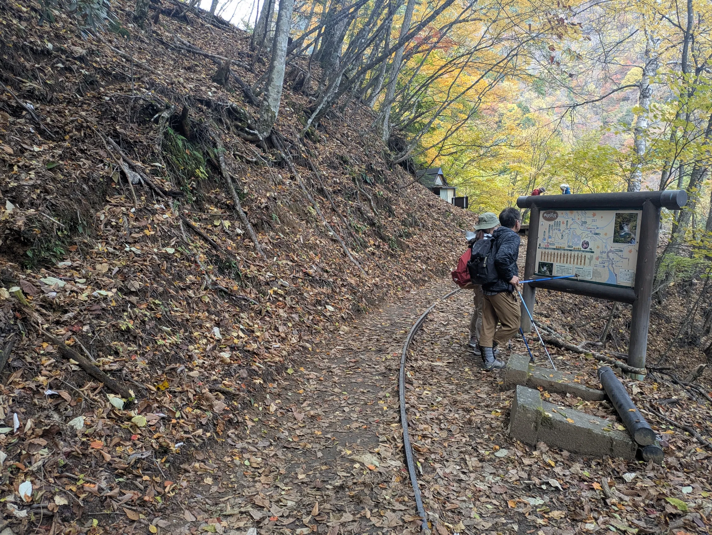 たむら鍼灸整骨院のイメージ