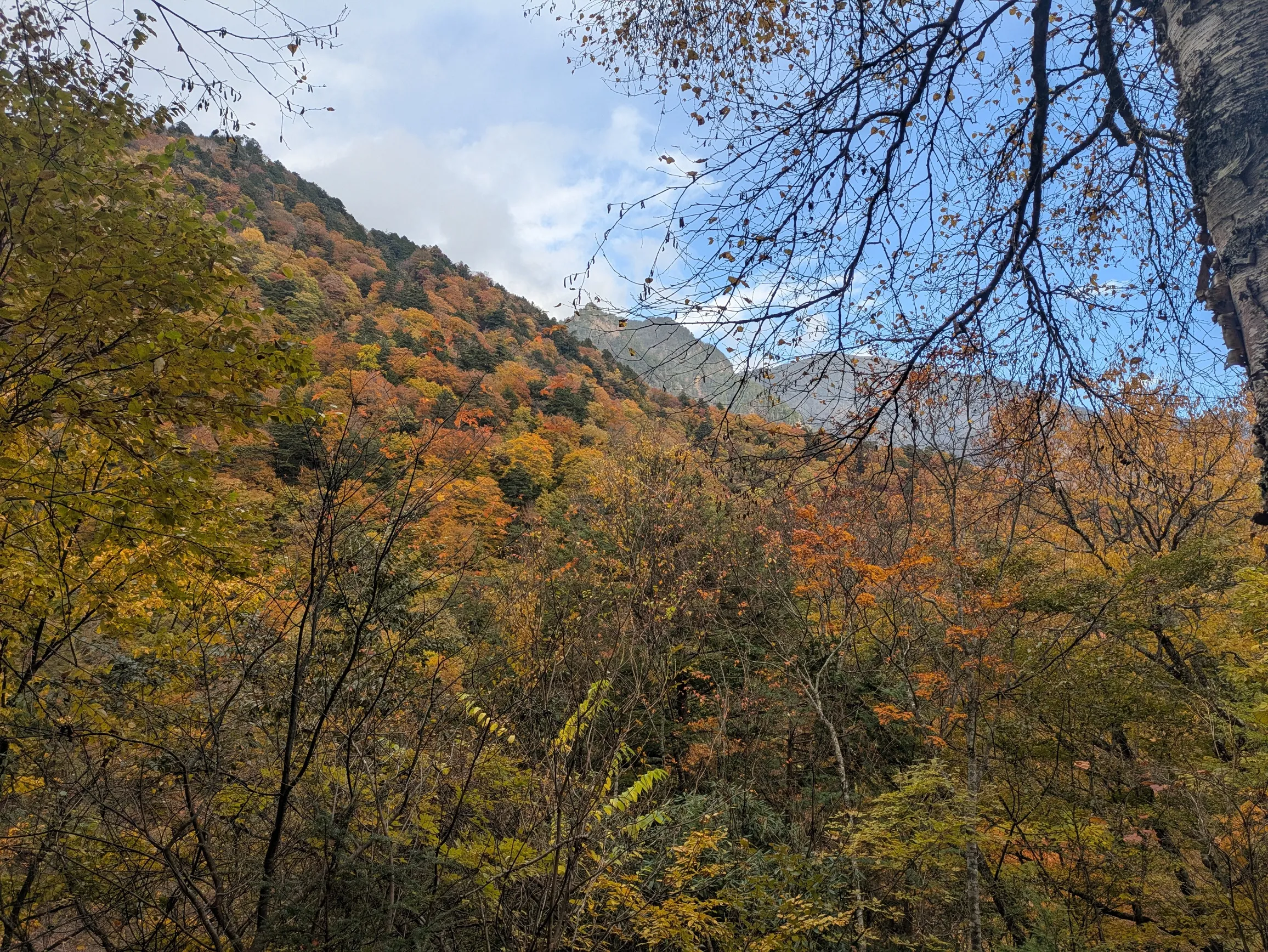 たむら鍼灸整骨院のイメージ