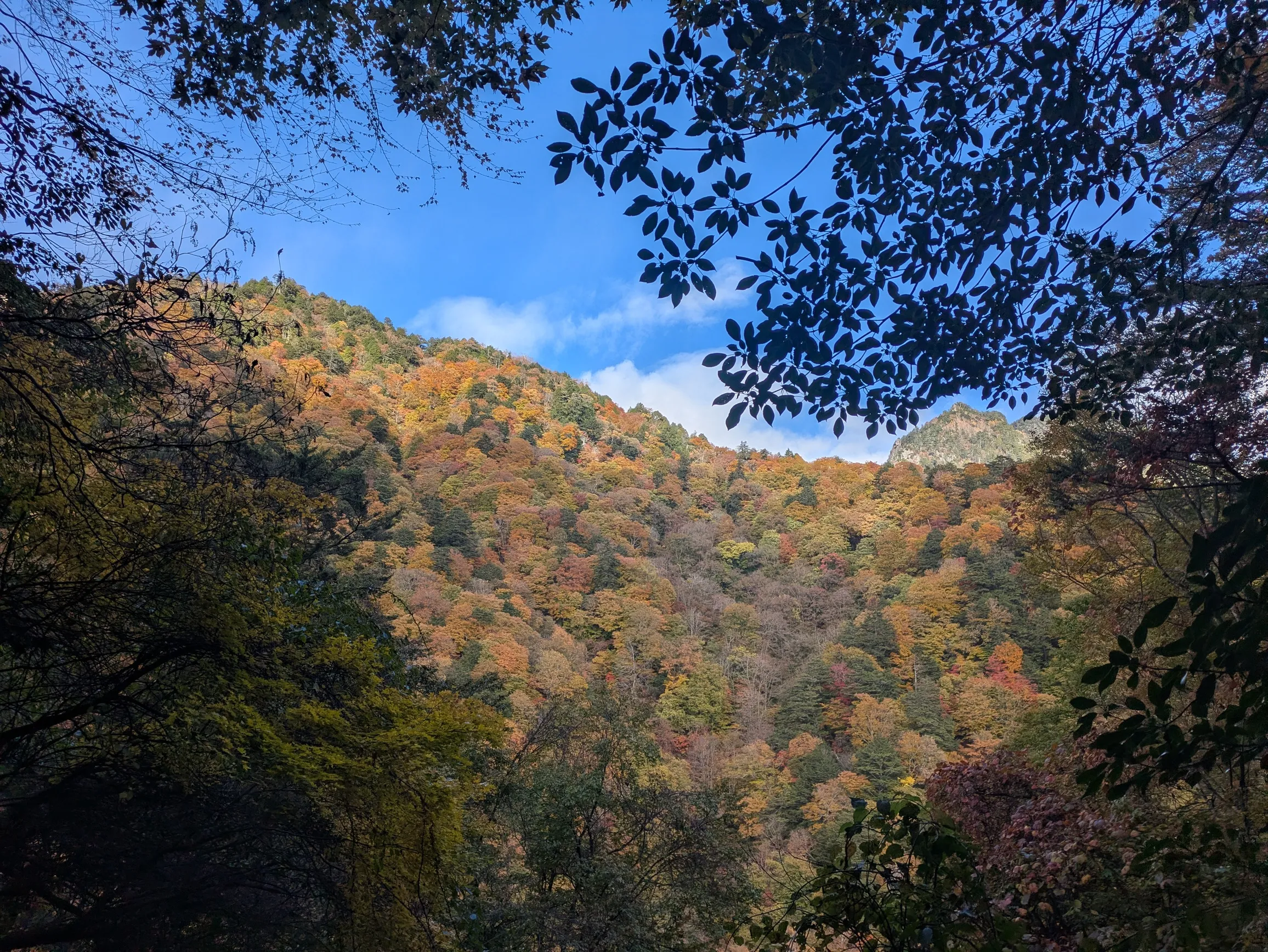 たむら鍼灸整骨院のイメージ