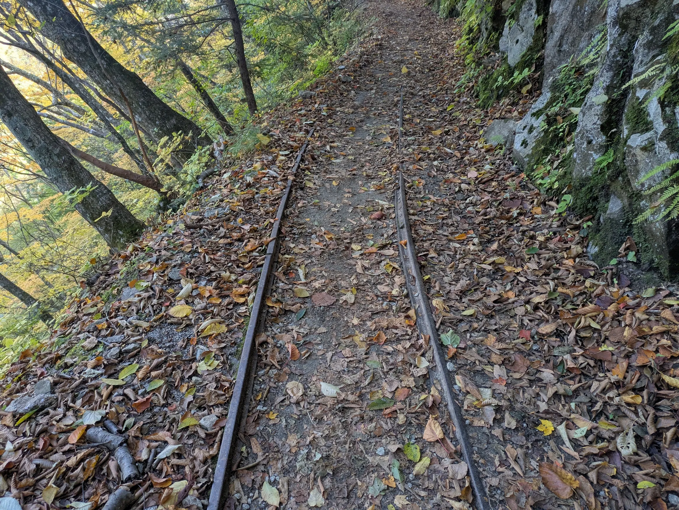たむら鍼灸整骨院のイメージ