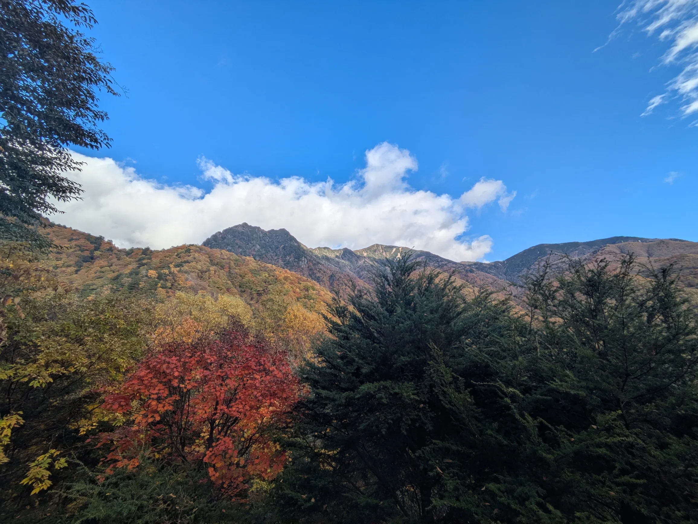 たむら鍼灸整骨院のイメージ