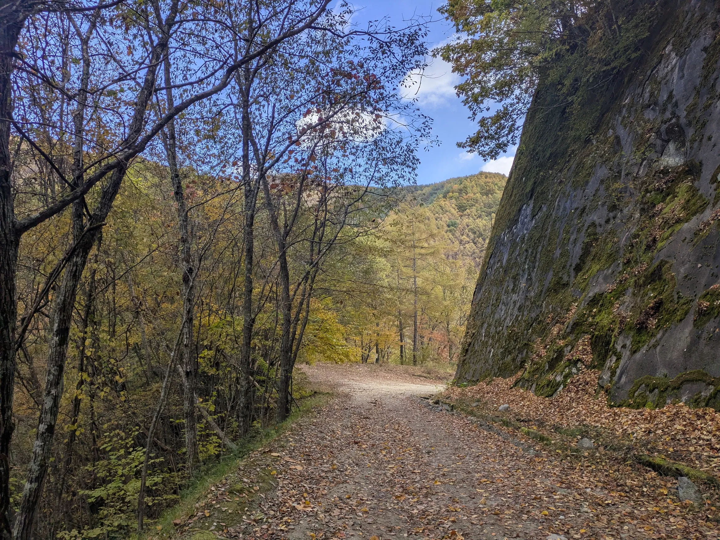 たむら鍼灸整骨院のイメージ