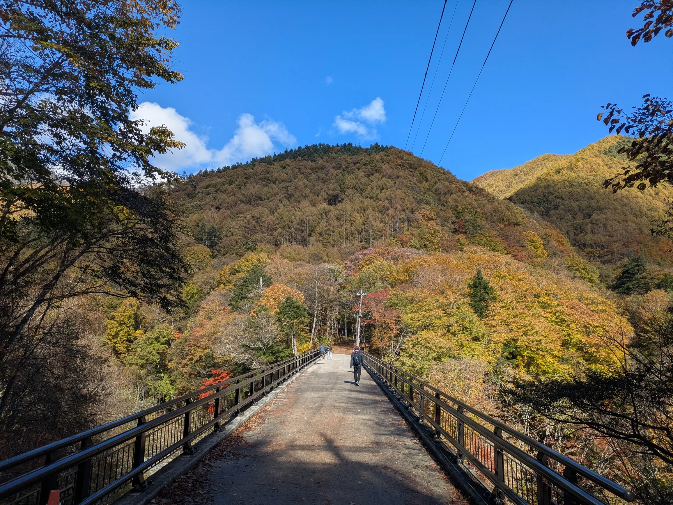 たむら鍼灸整骨院のイメージ