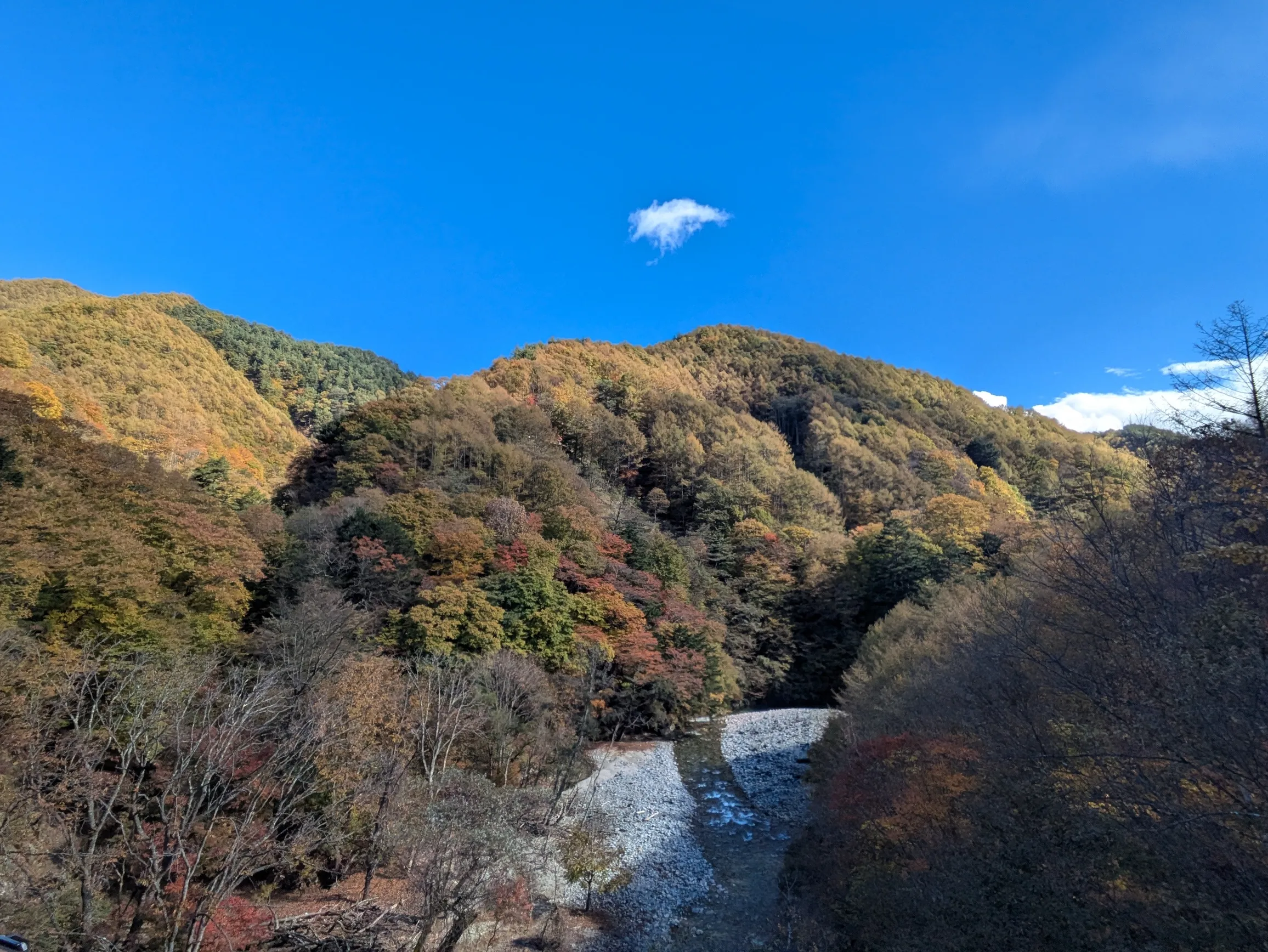 たむら鍼灸整骨院のイメージ
