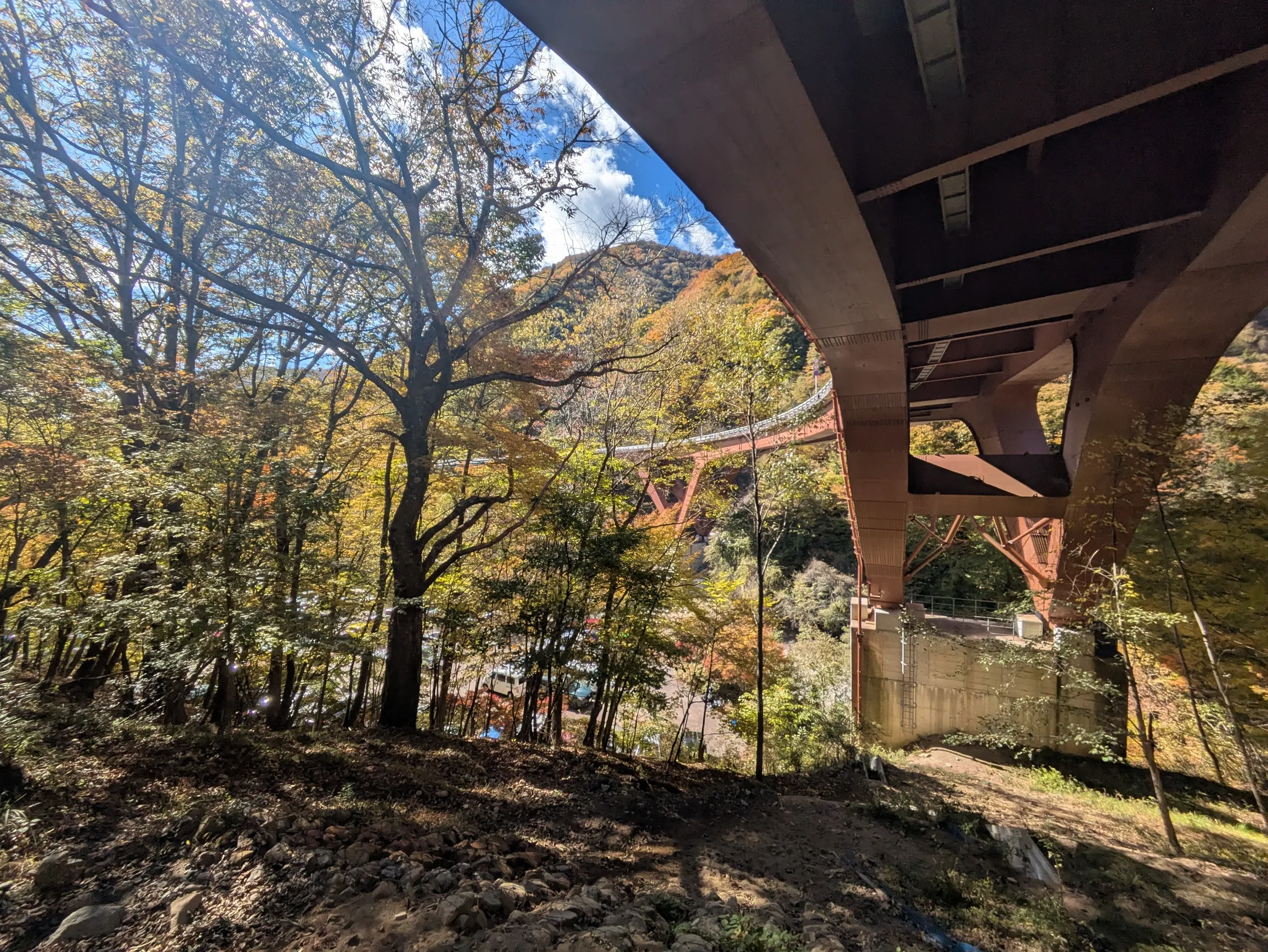 たむら鍼灸整骨院のイメージ