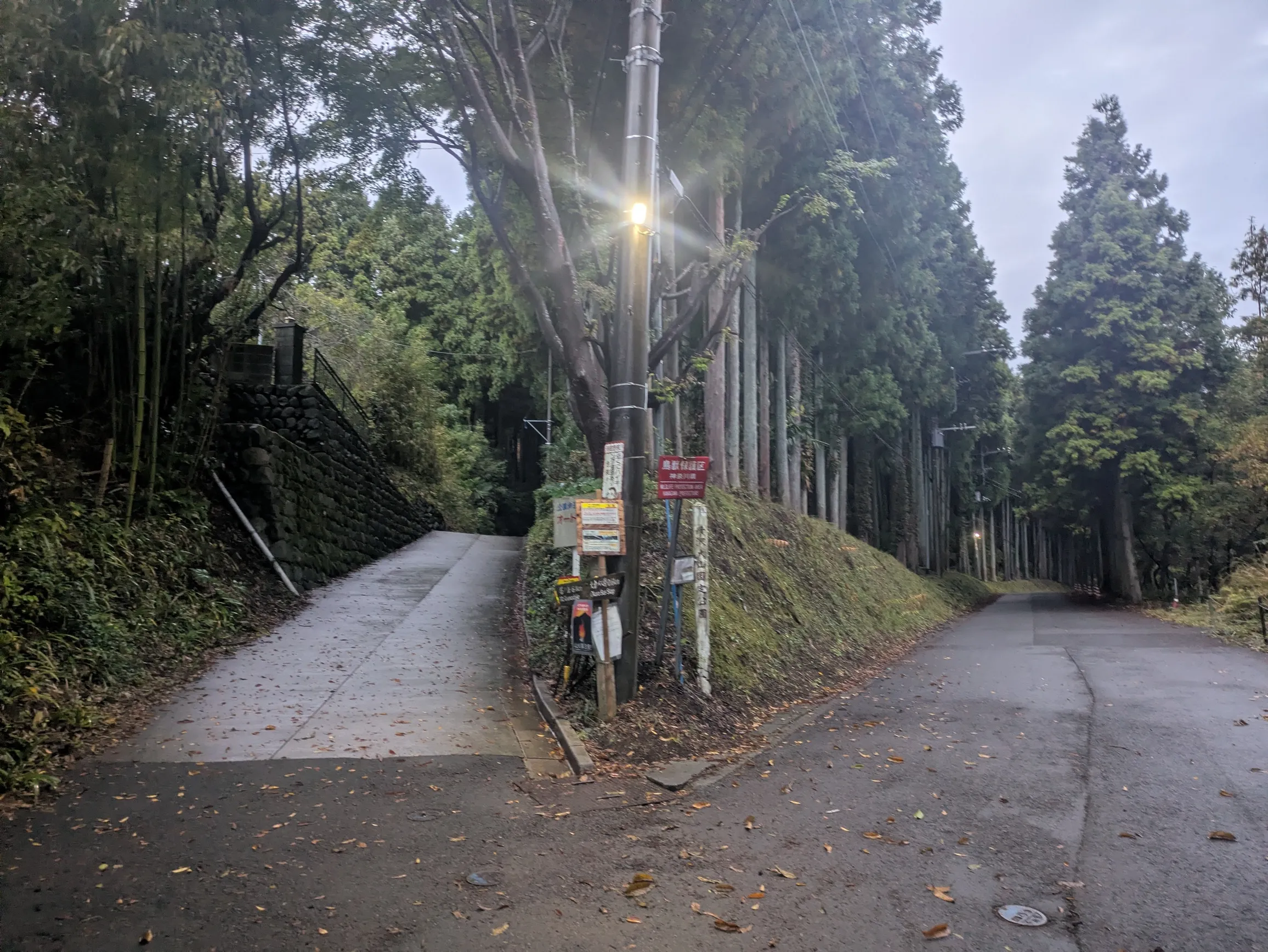 たむら鍼灸整骨院のイメージ