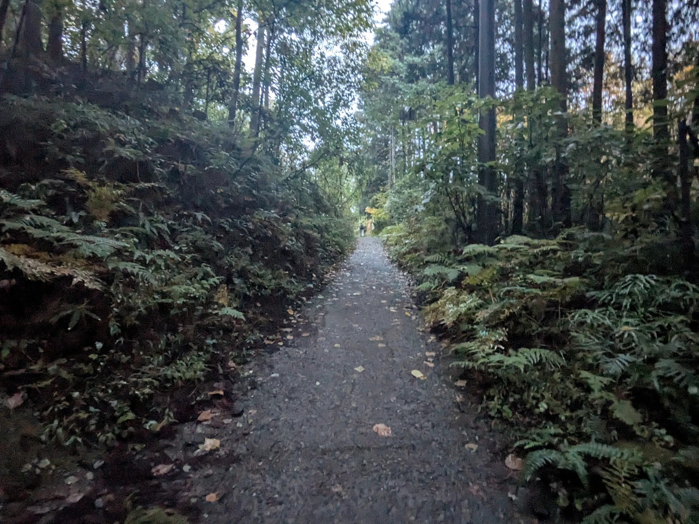 たむら鍼灸整骨院のイメージ