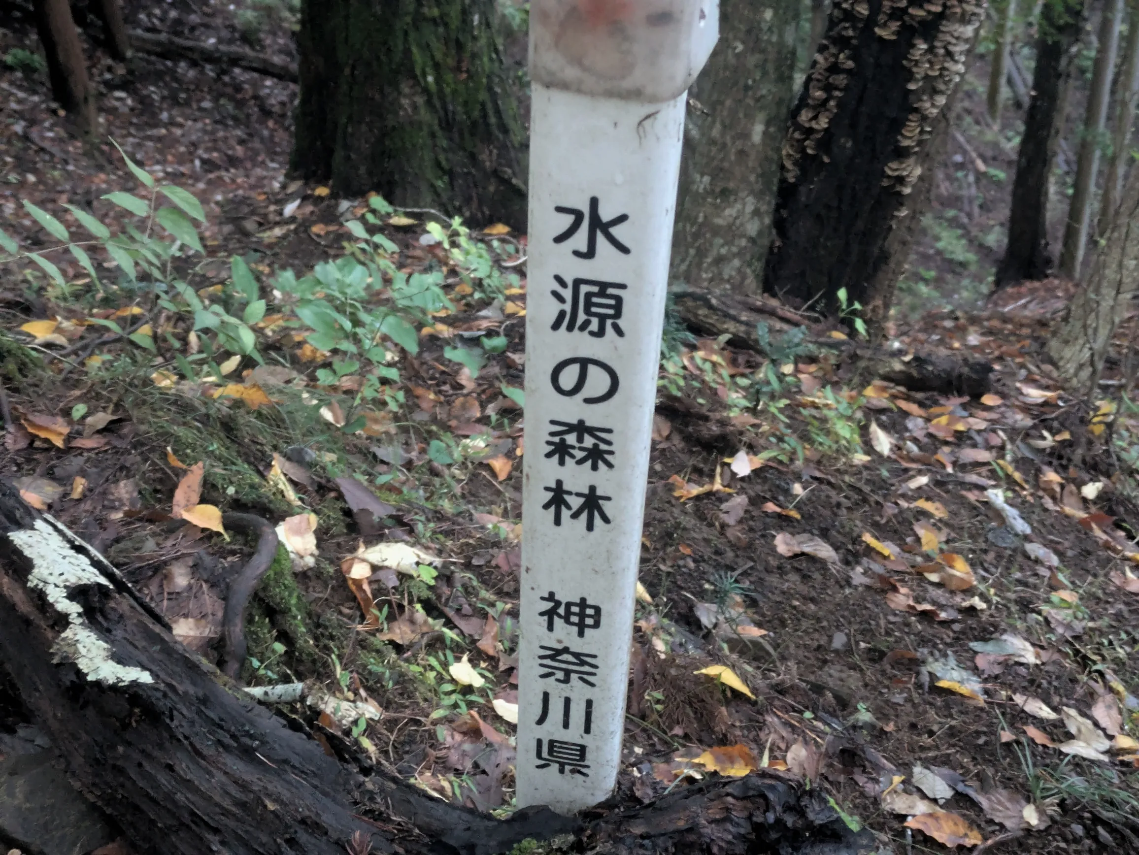 たむら鍼灸整骨院のイメージ