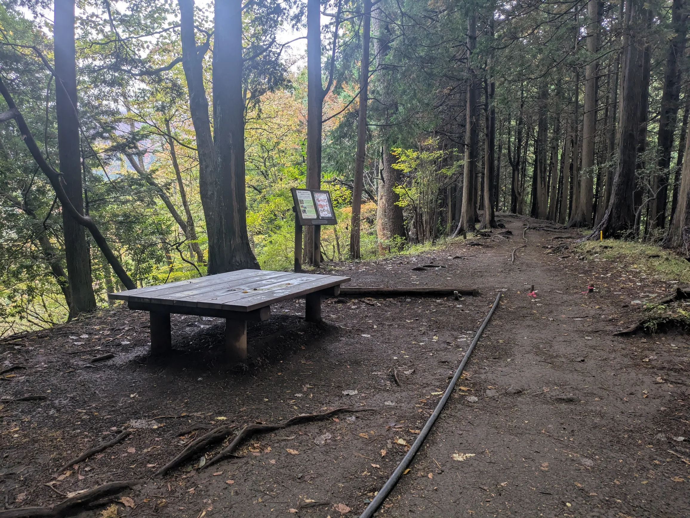 たむら鍼灸整骨院のイメージ