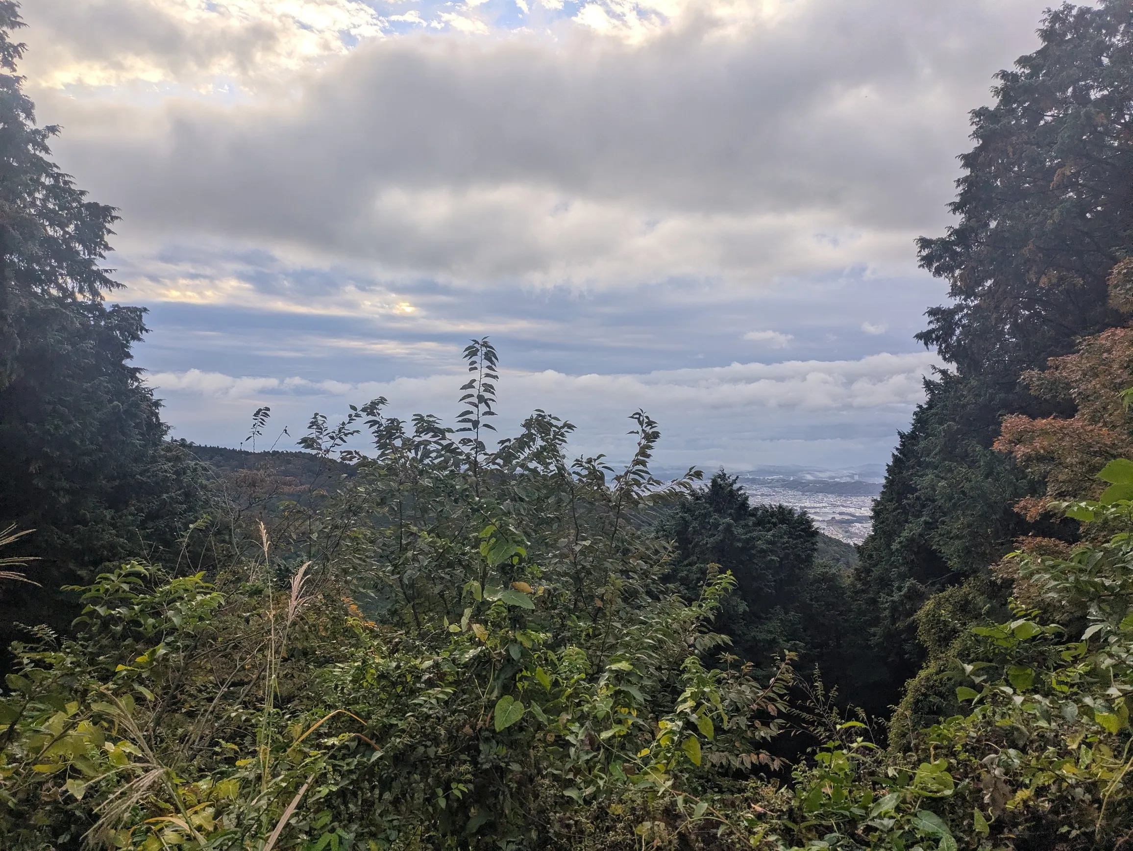 たむら鍼灸整骨院のイメージ