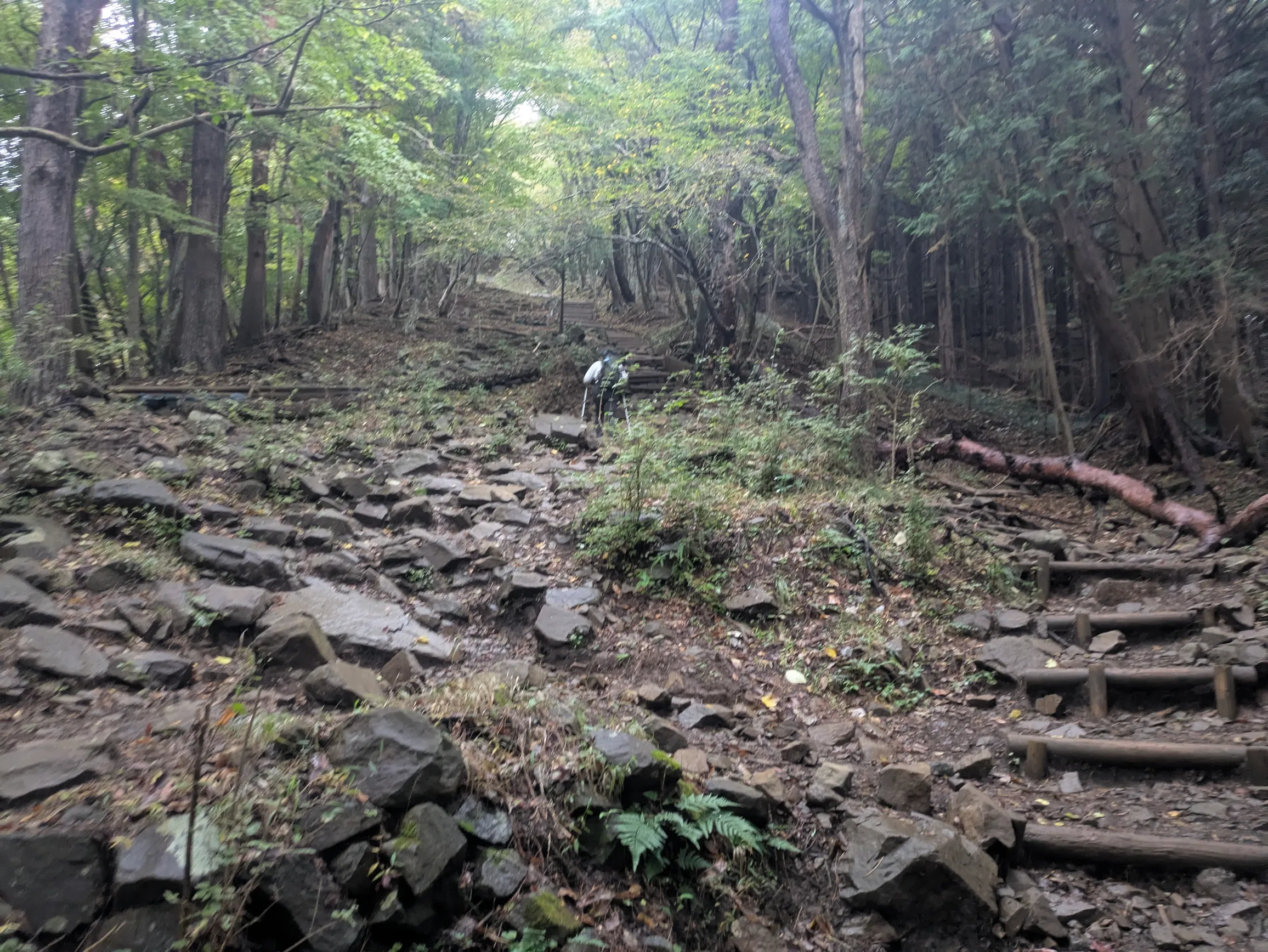 たむら鍼灸整骨院のイメージ