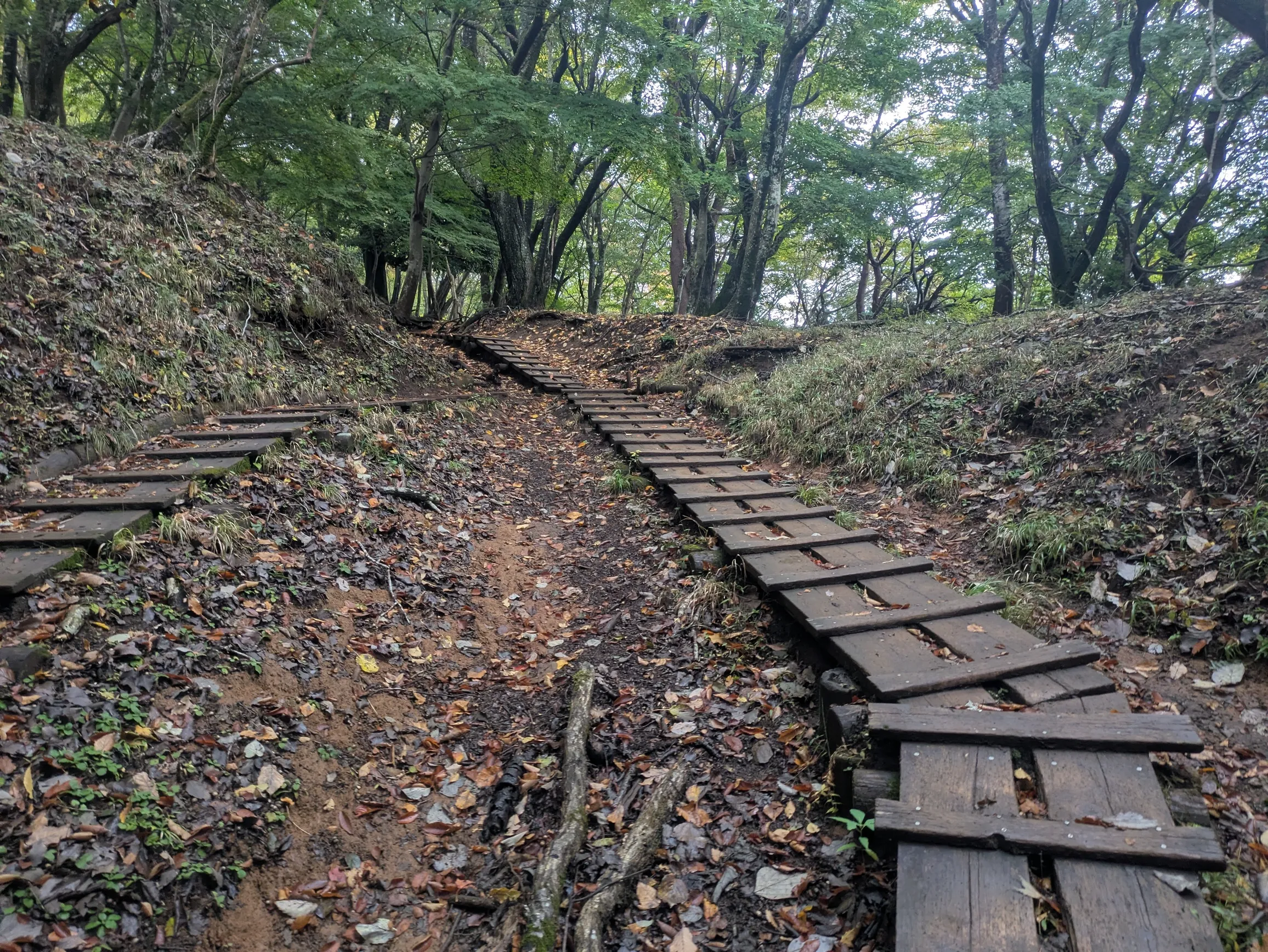 たむら鍼灸整骨院のイメージ