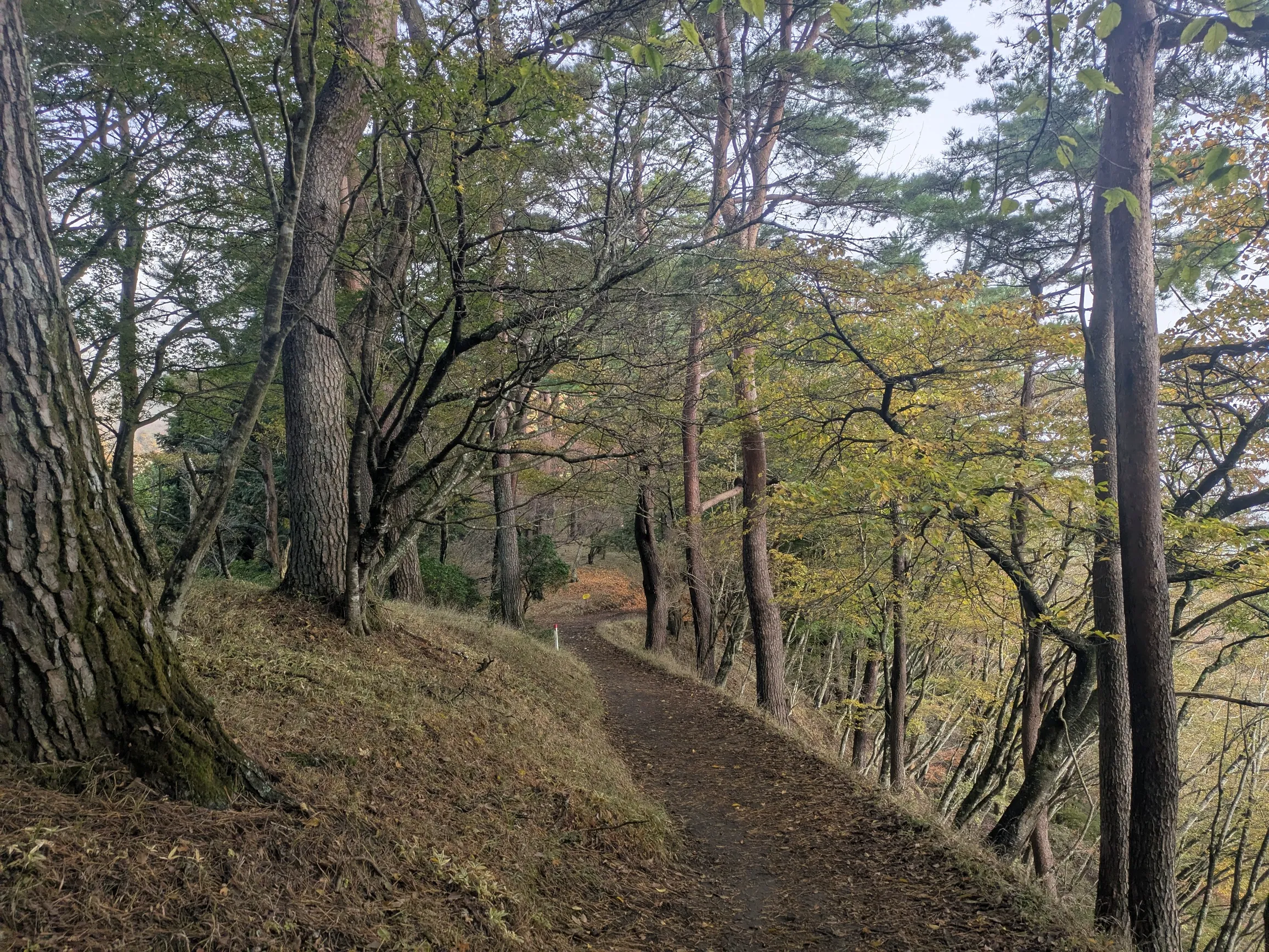 たむら鍼灸整骨院のイメージ