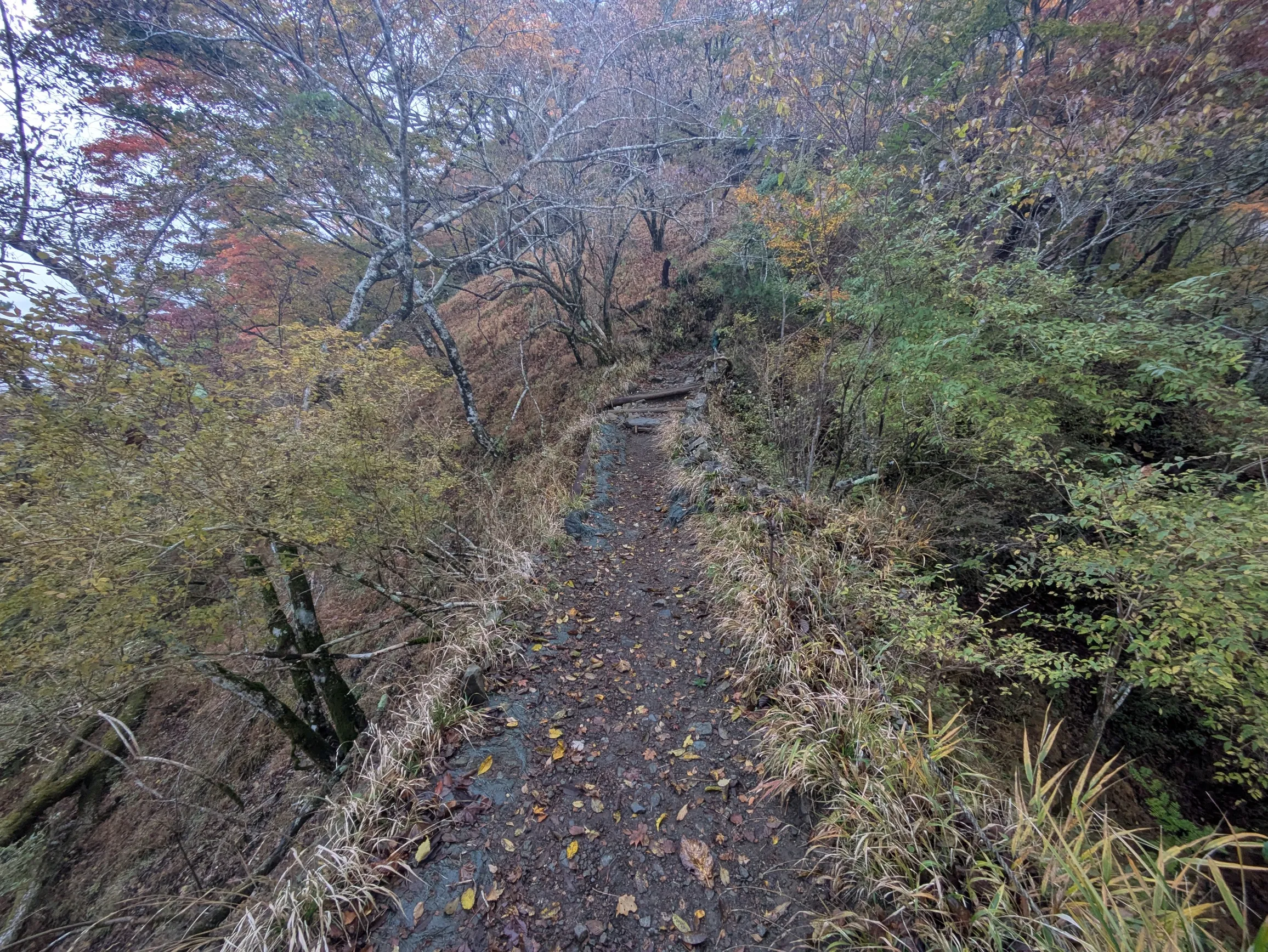 たむら鍼灸整骨院のイメージ