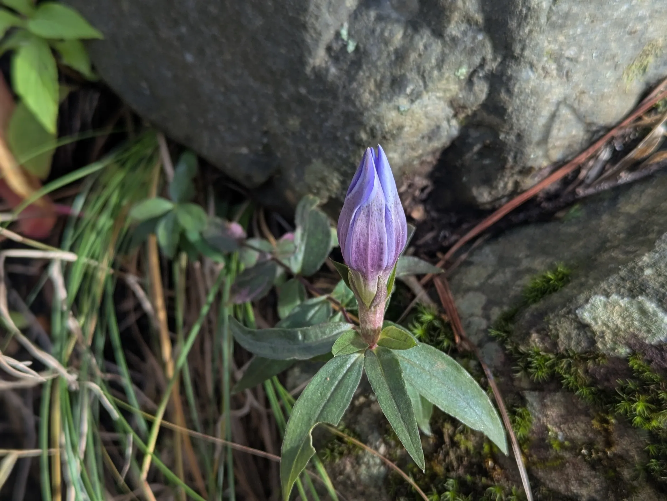 たむら鍼灸整骨院のイメージ