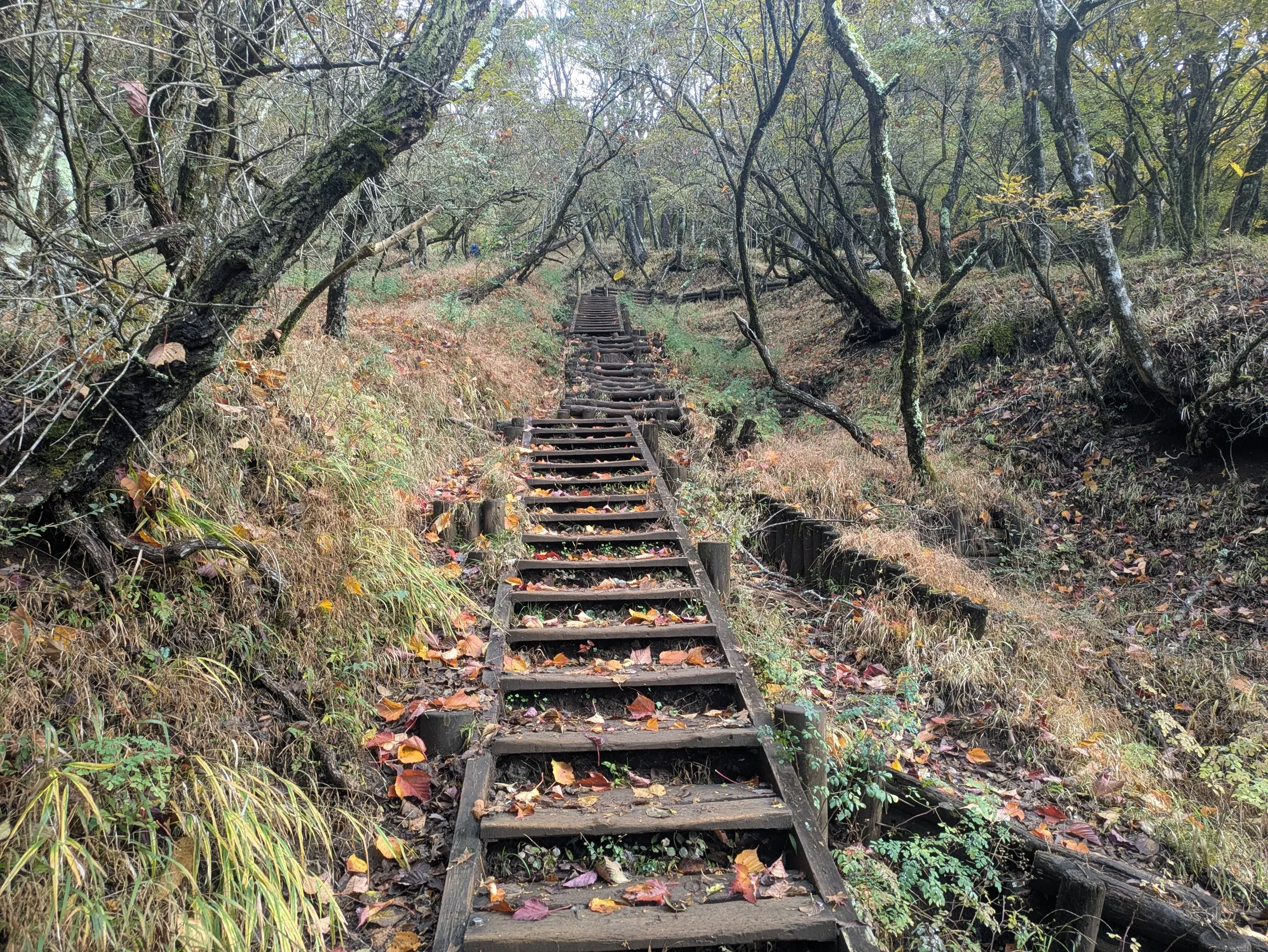 たむら鍼灸整骨院のイメージ