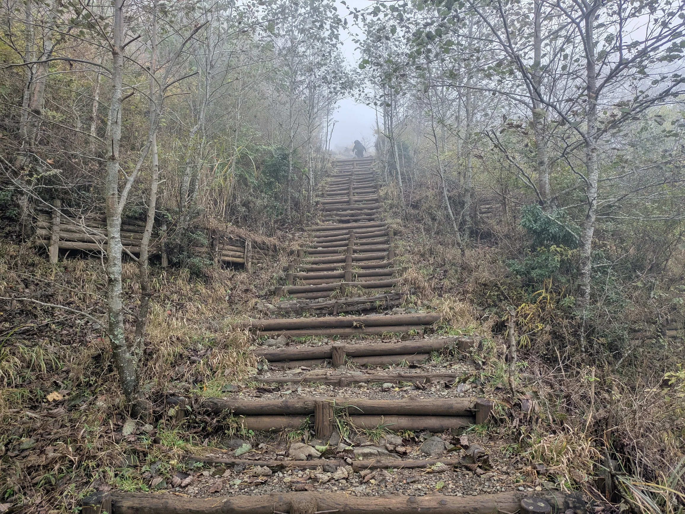たむら鍼灸整骨院のイメージ