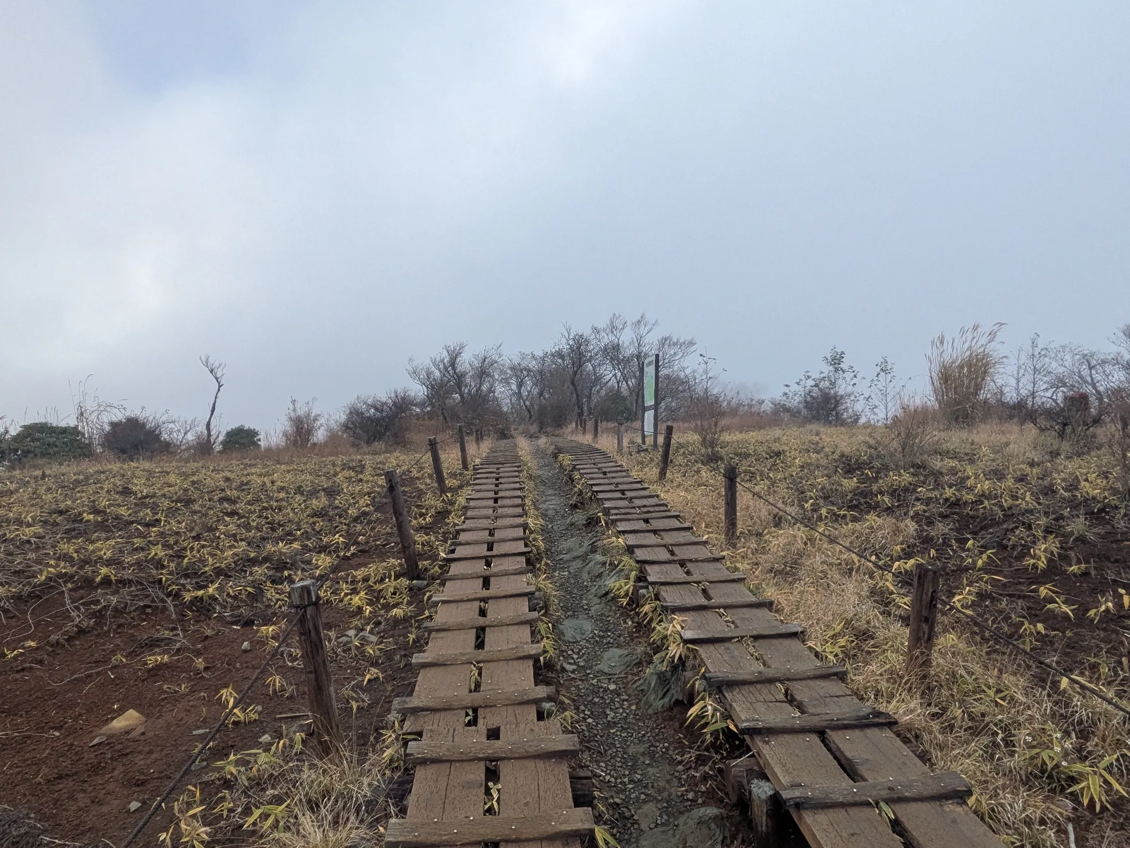 たむら鍼灸整骨院のイメージ